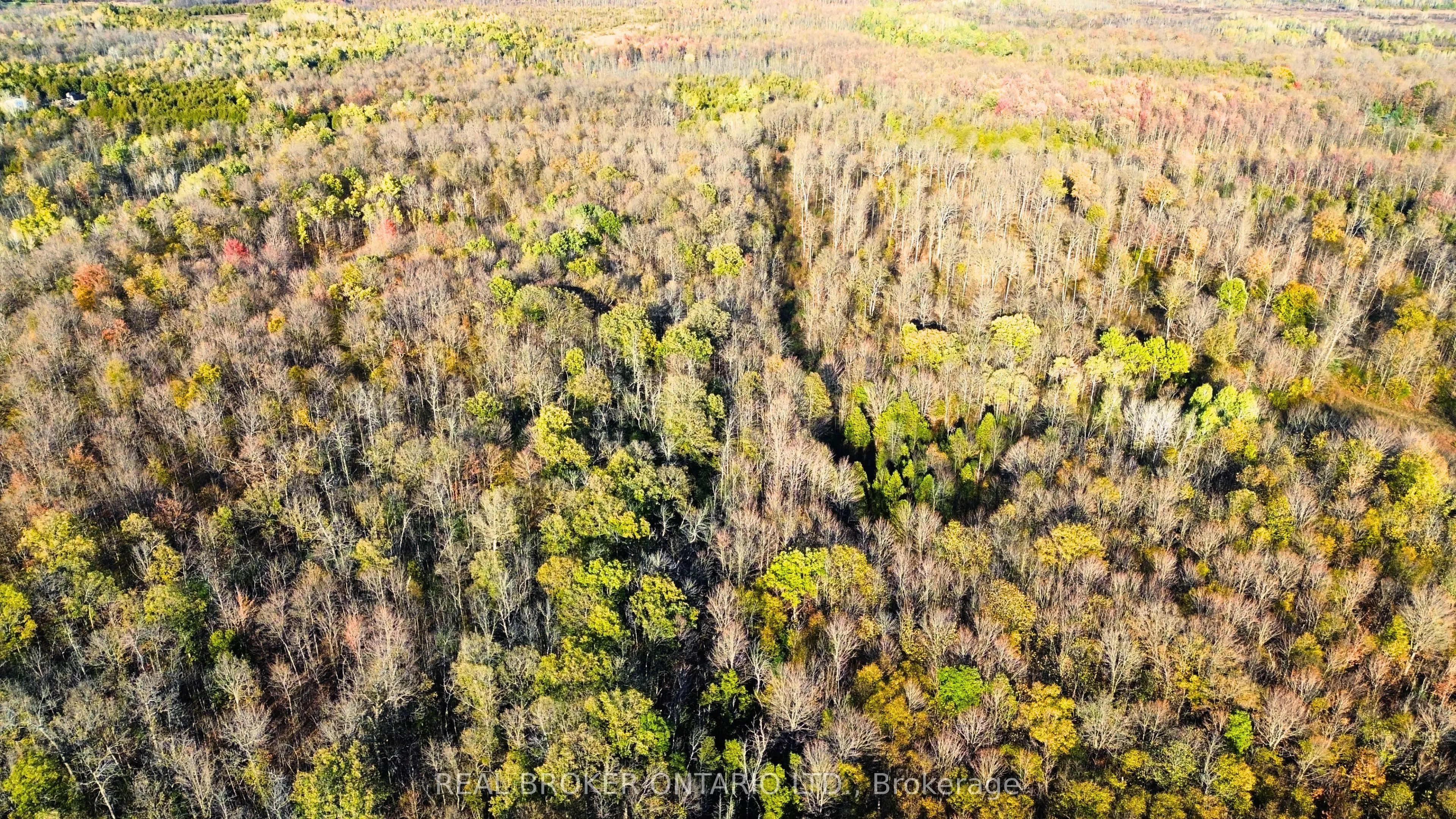 Lot 7 County 7 Road