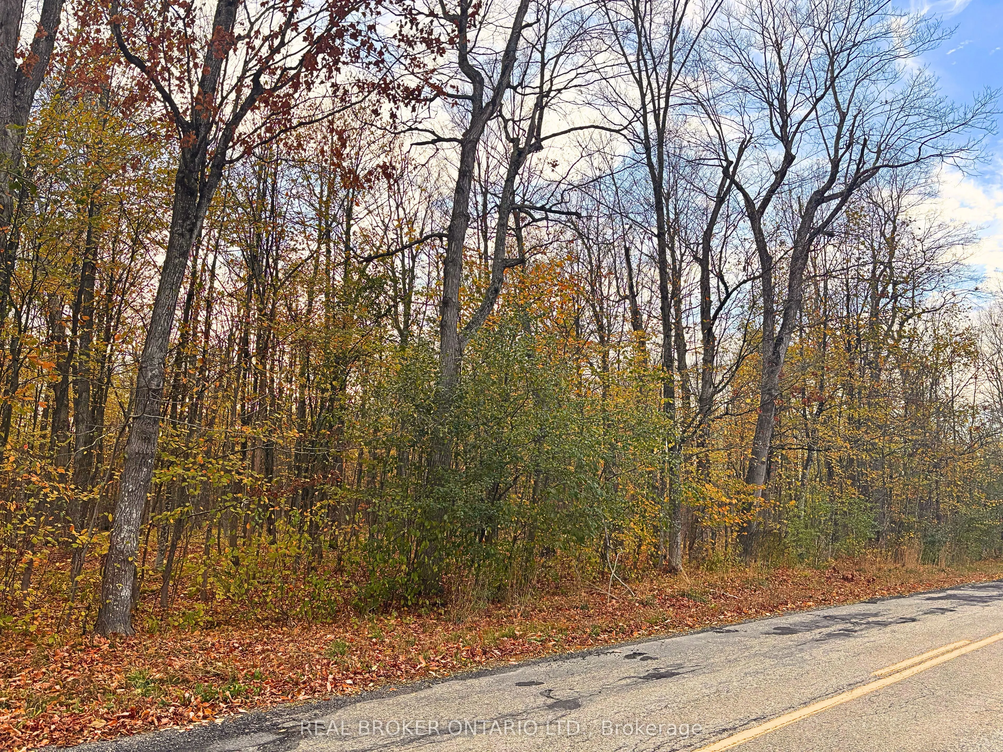 Lot 7 County 7 Road