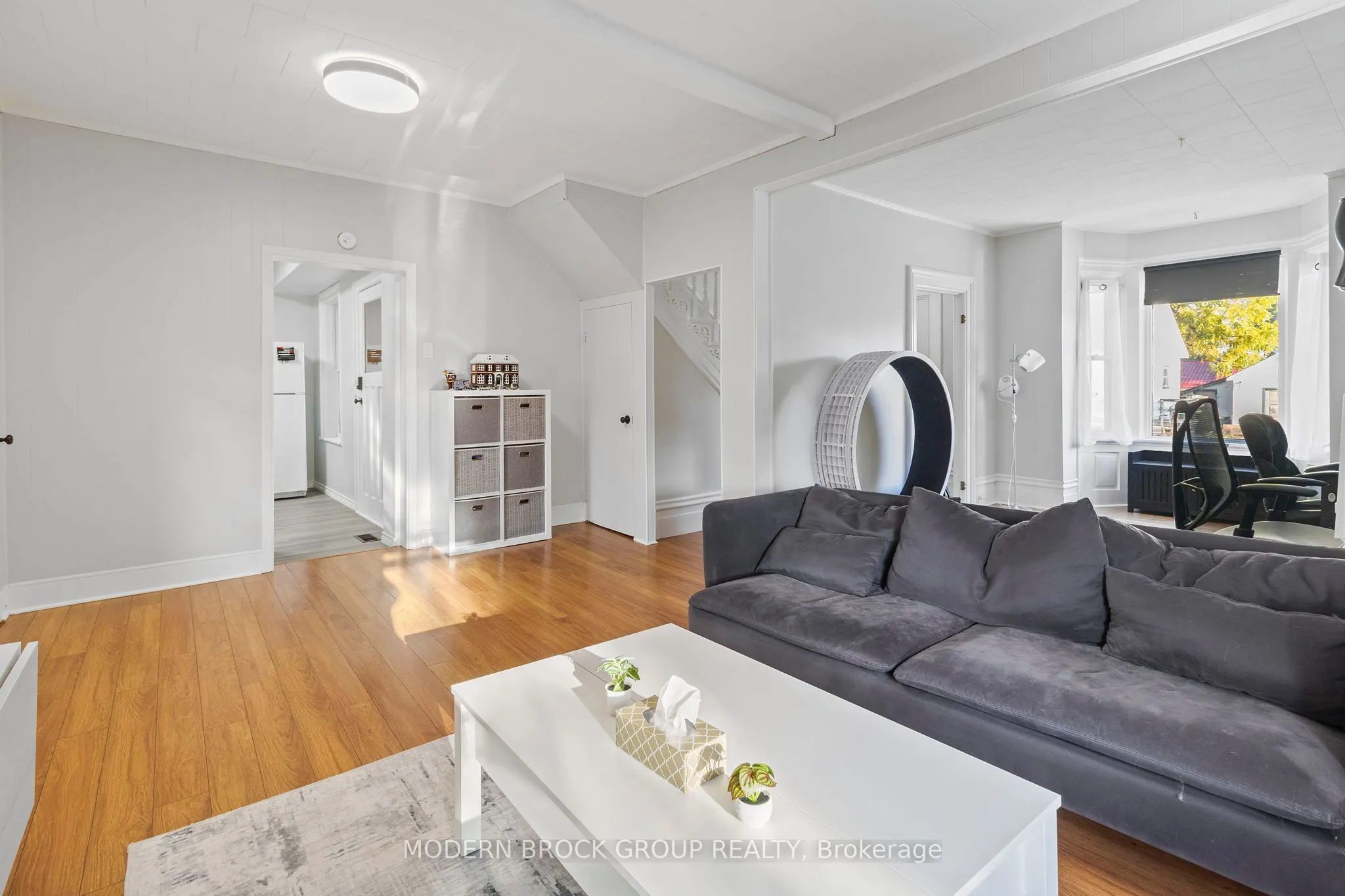 44 Havelock Street