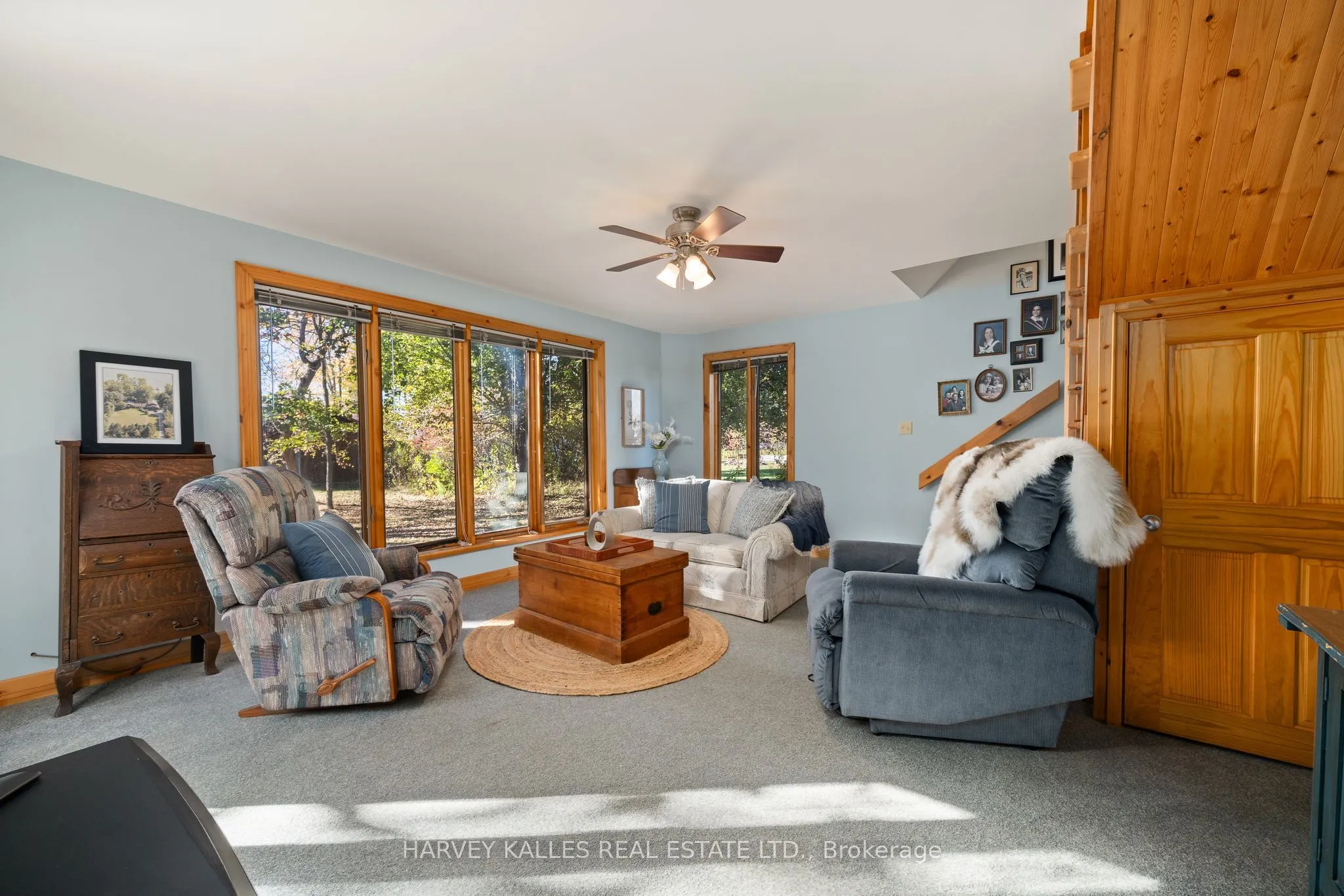 38 Vienna Road