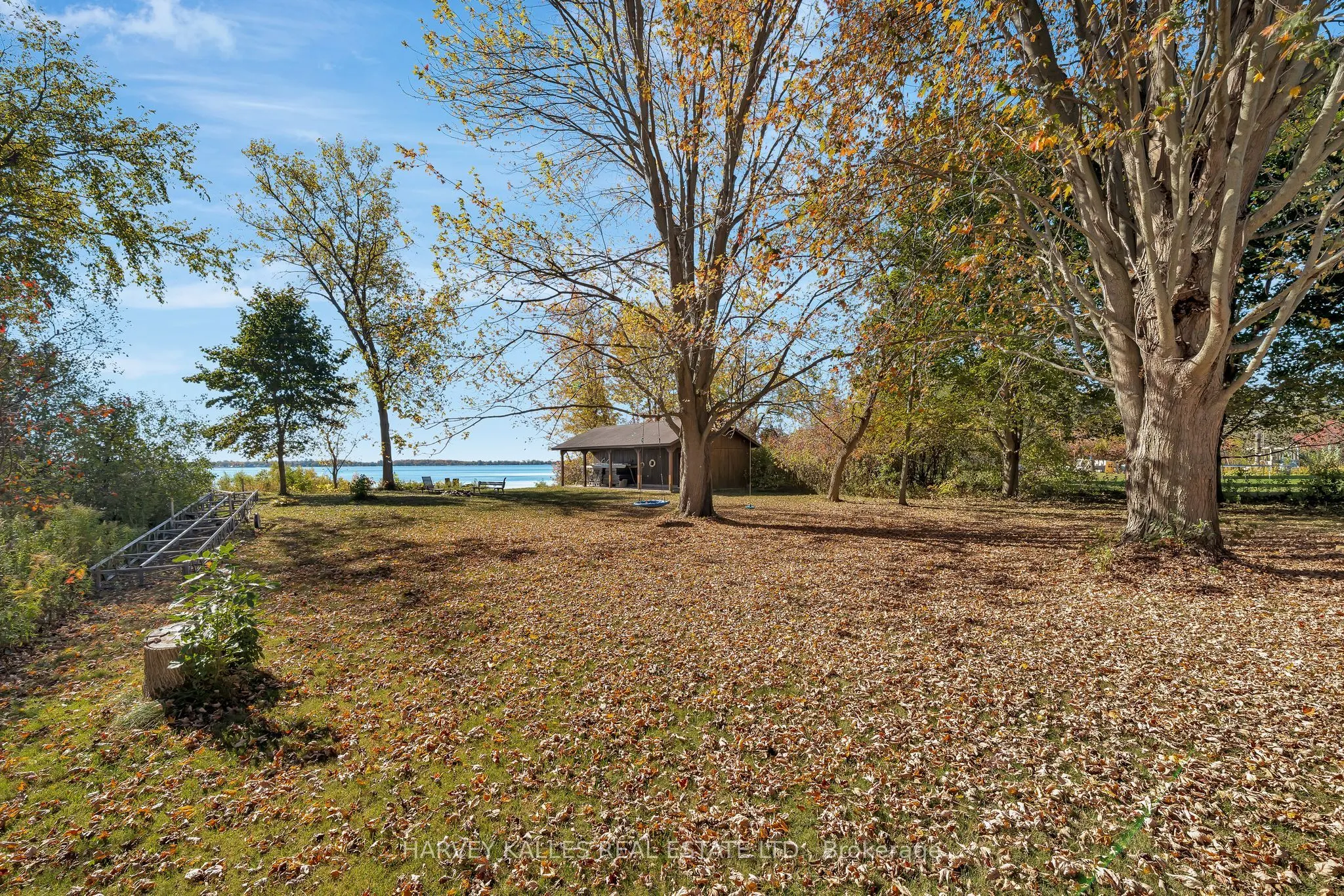 38 Vienna Road