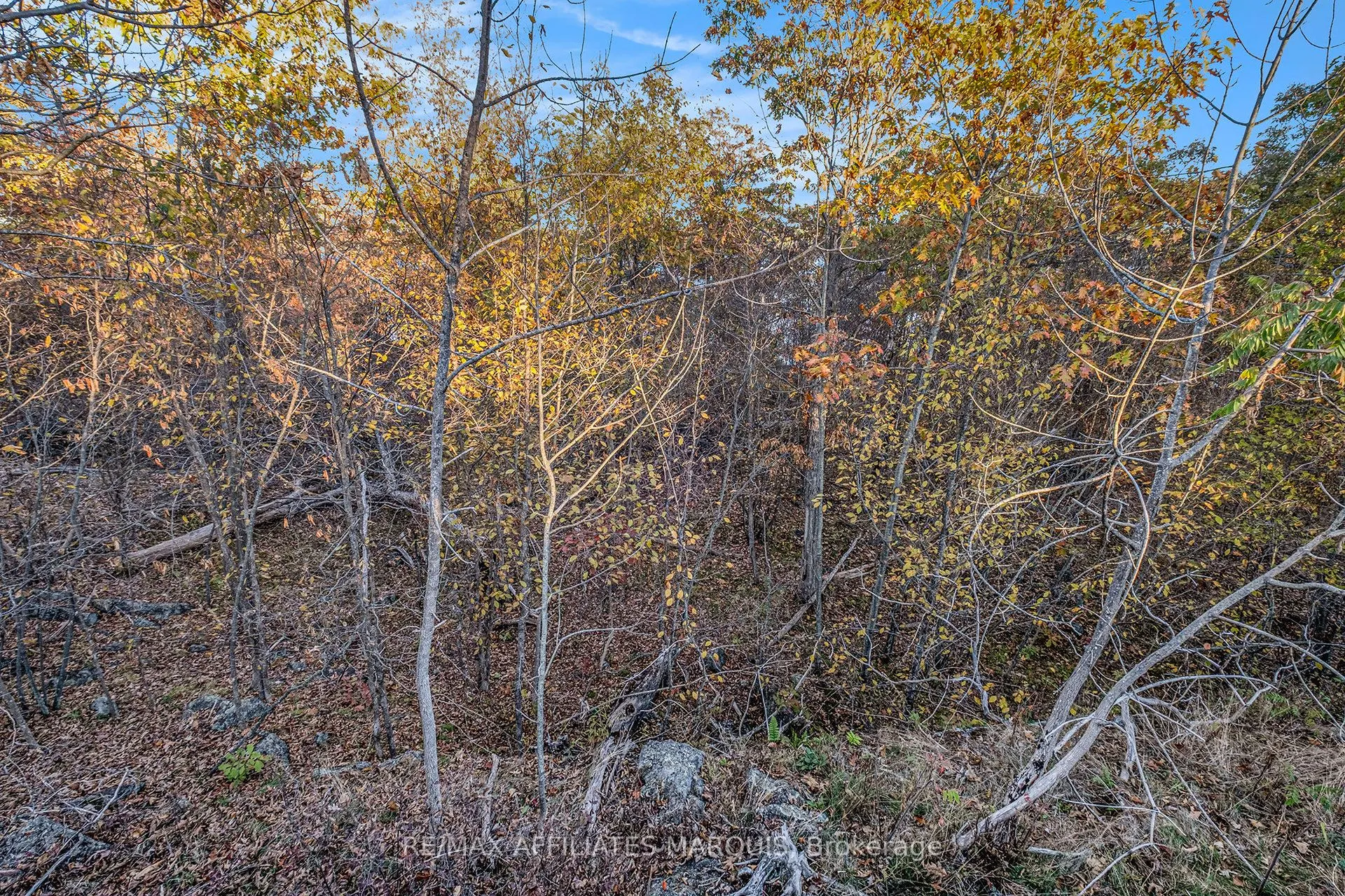 898 Christie Lk N Shr Road