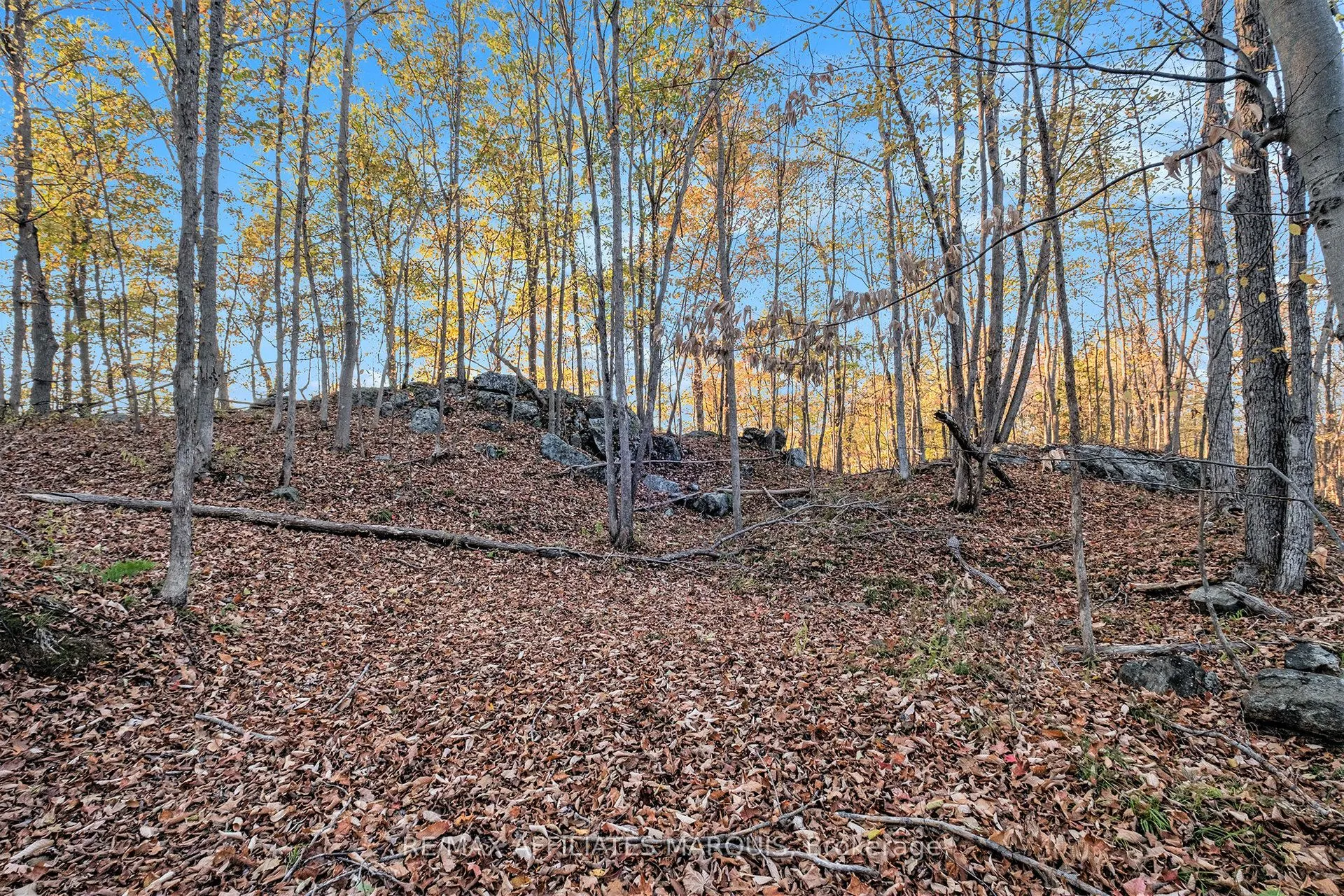 898 Christie Lk N Shr Road