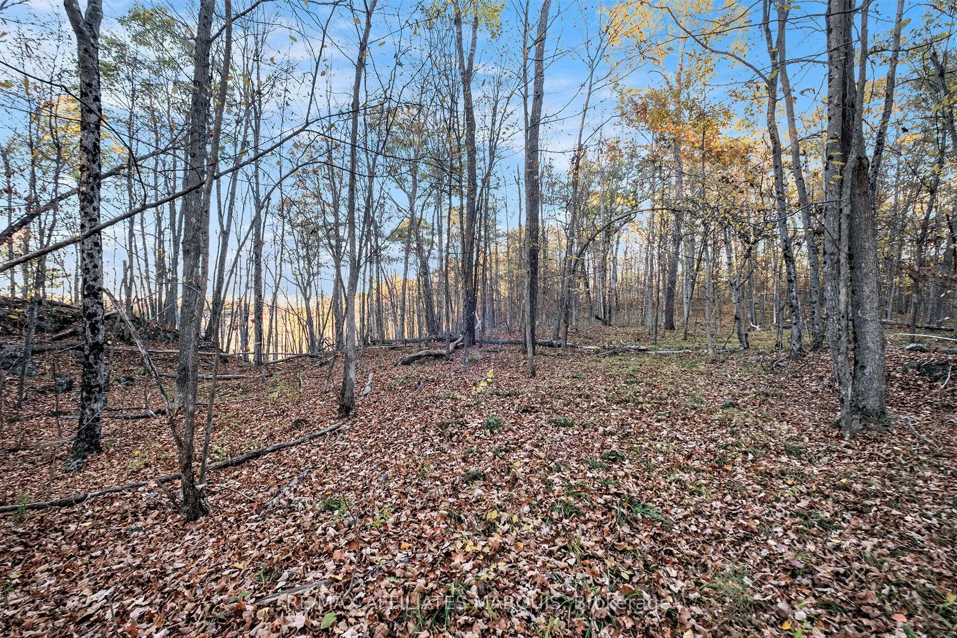 898 Christie Lk N Shr Road