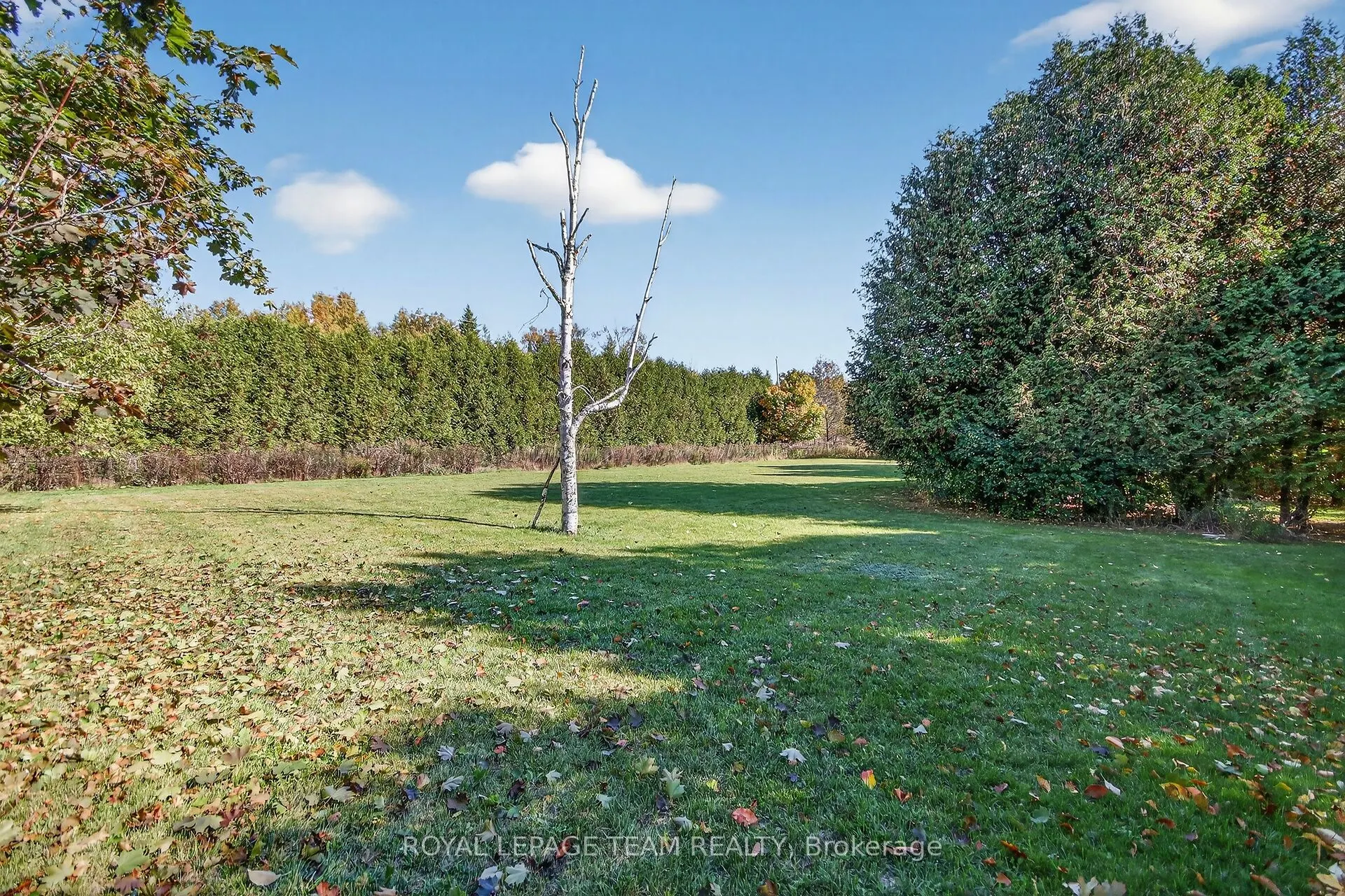 101 Falcon Brook Road
