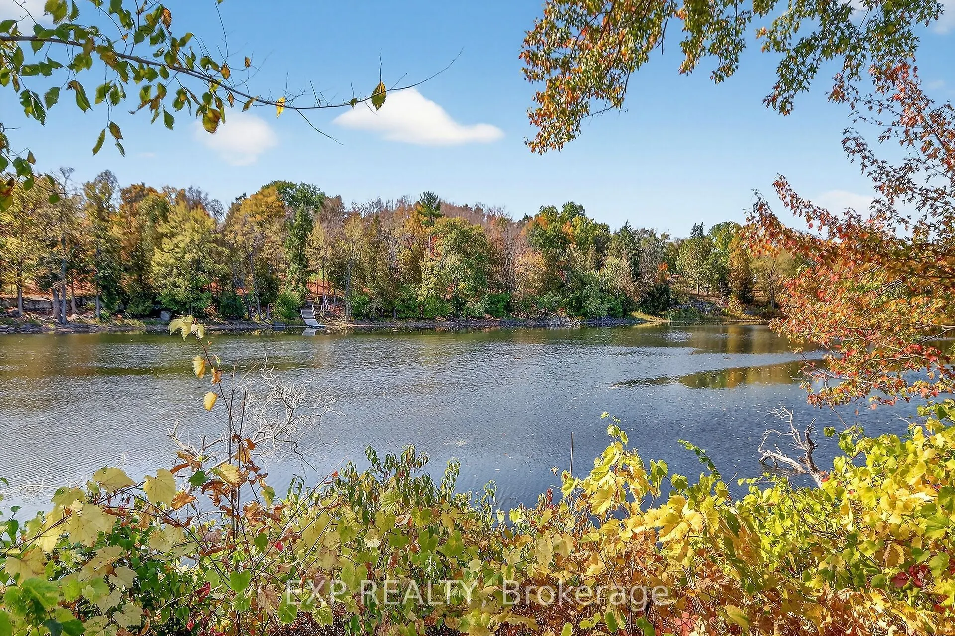 1 Rosamond Street E, #302