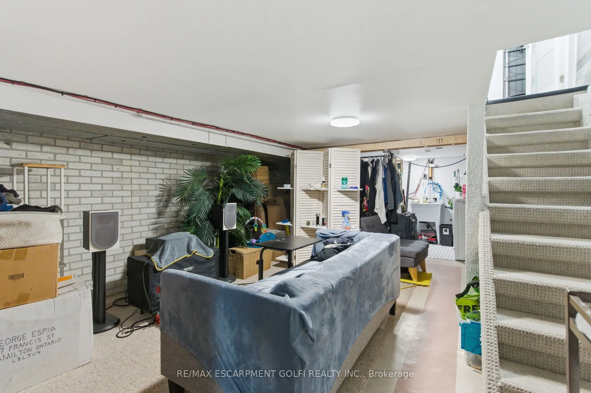97 FRANCIS Street