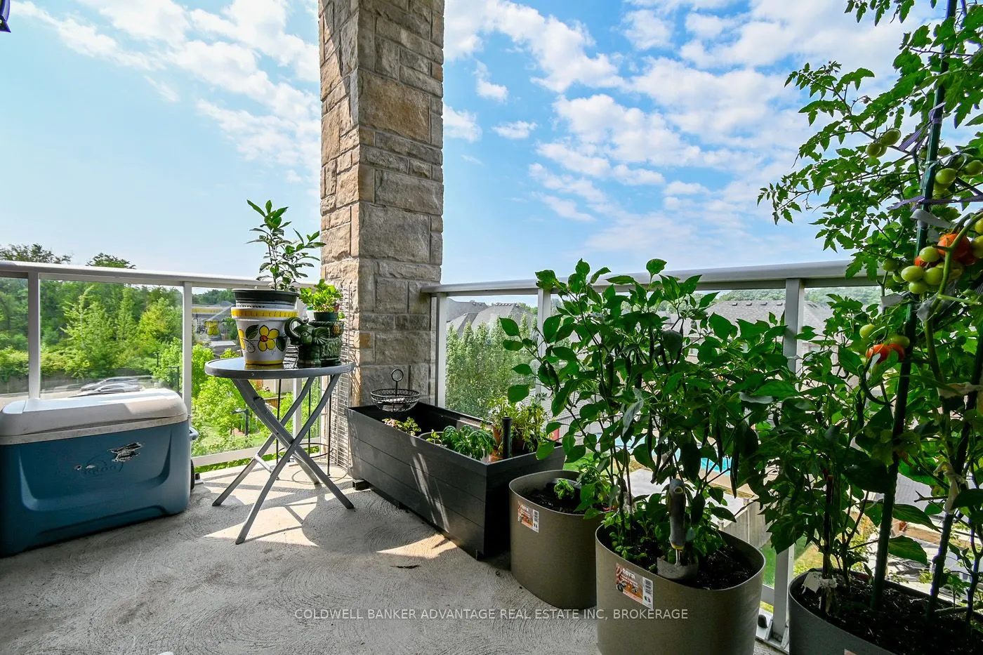 529 South Pelham Road, #304