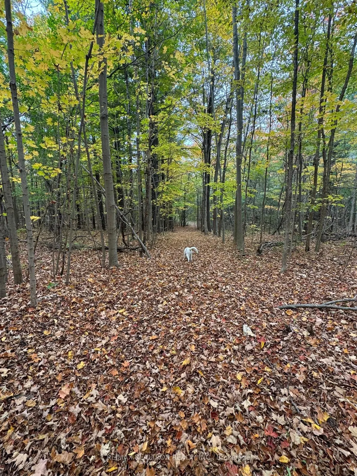 1177 Concession 4 LOT 3 Road W