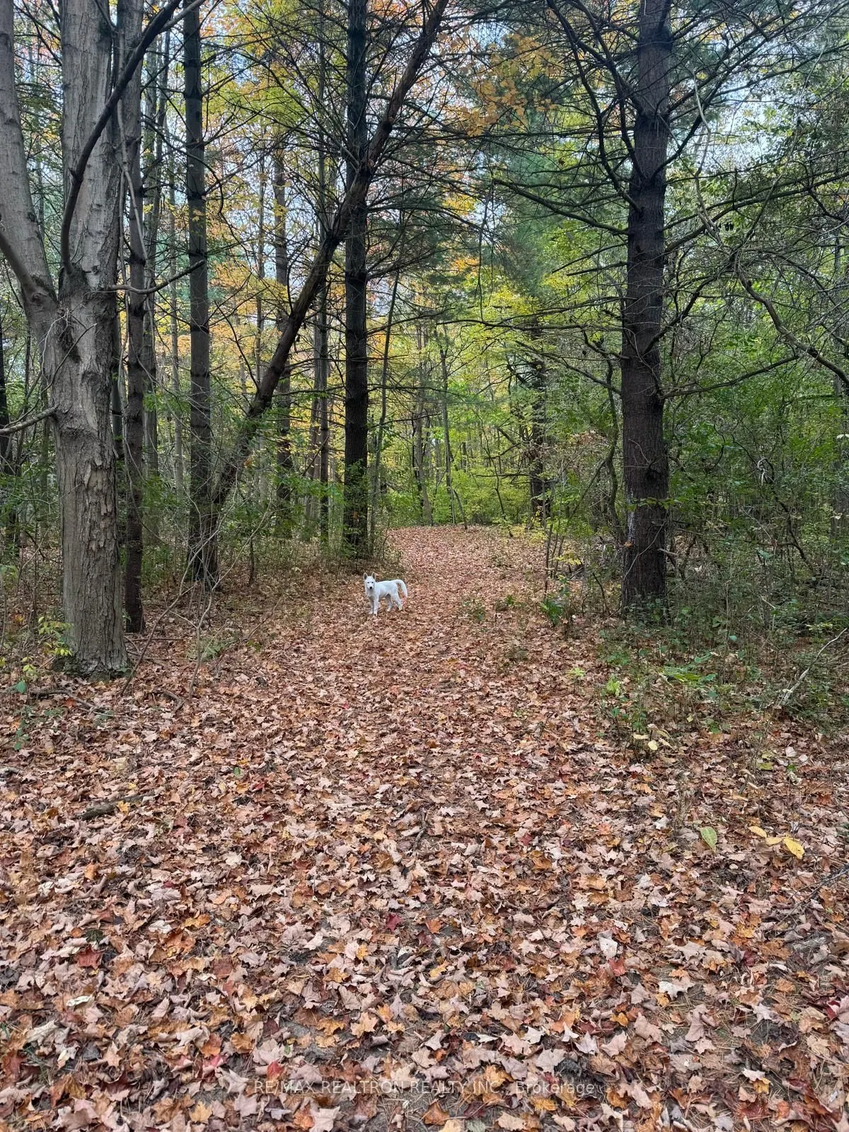 1177 Concession 4 LOT 3 Road W
