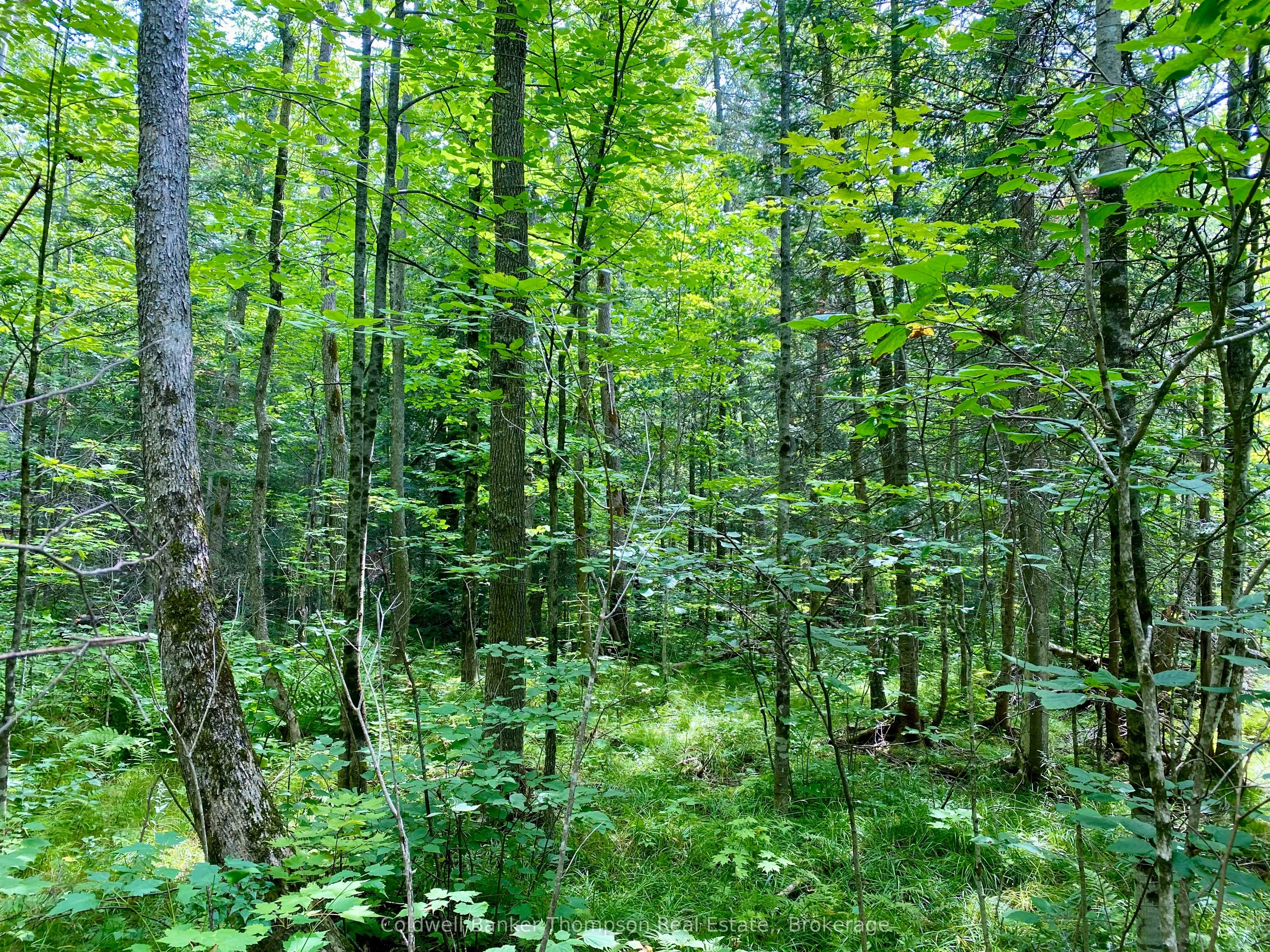 LOT 6-B 522 Highway W