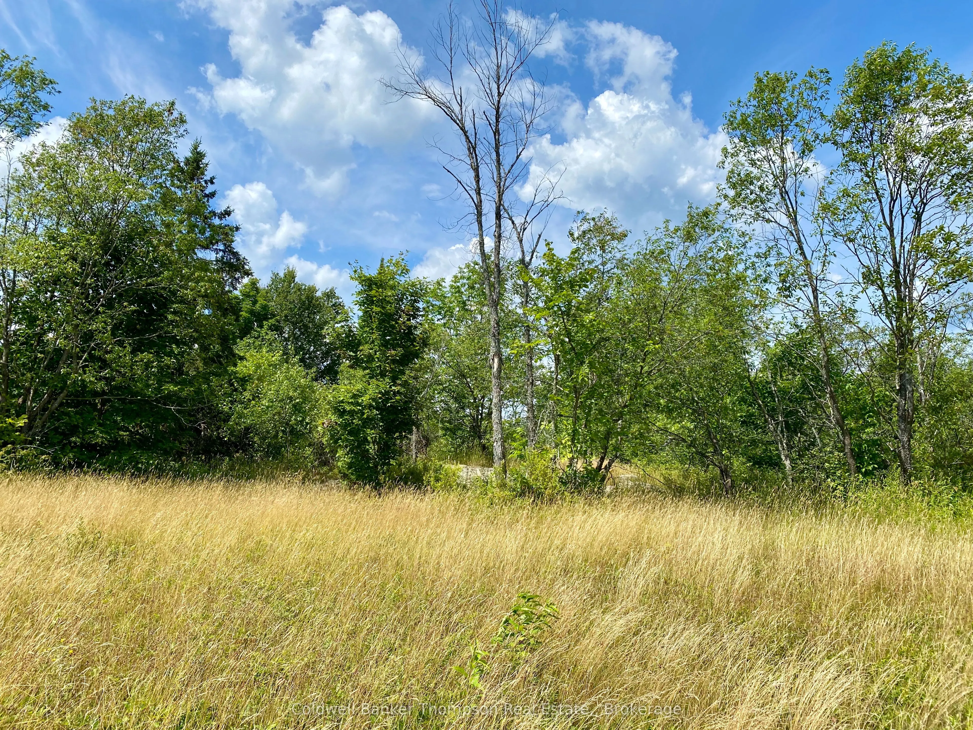 LOT 6-B 522 Highway W