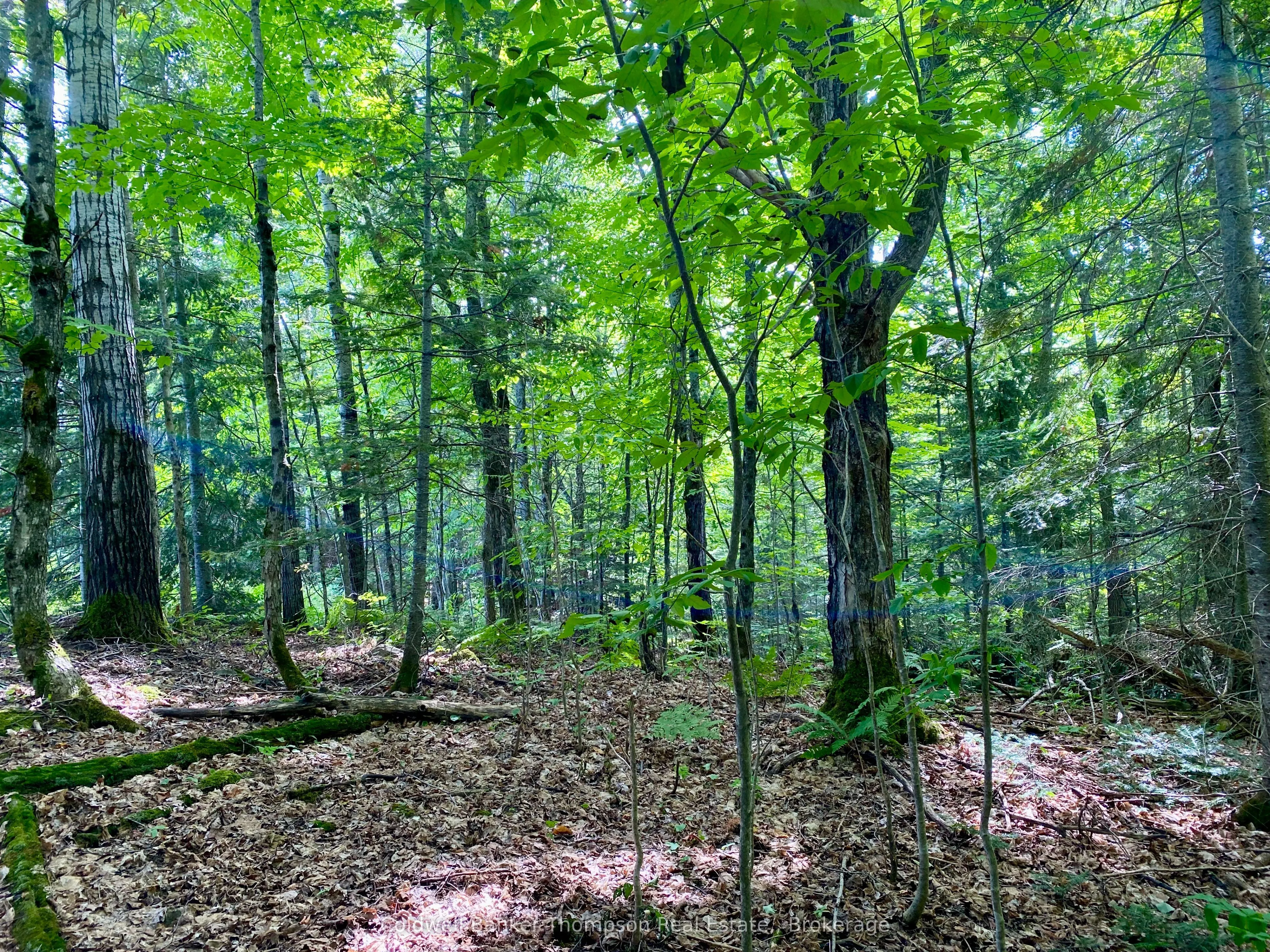 LOT 6-B 522 Highway W