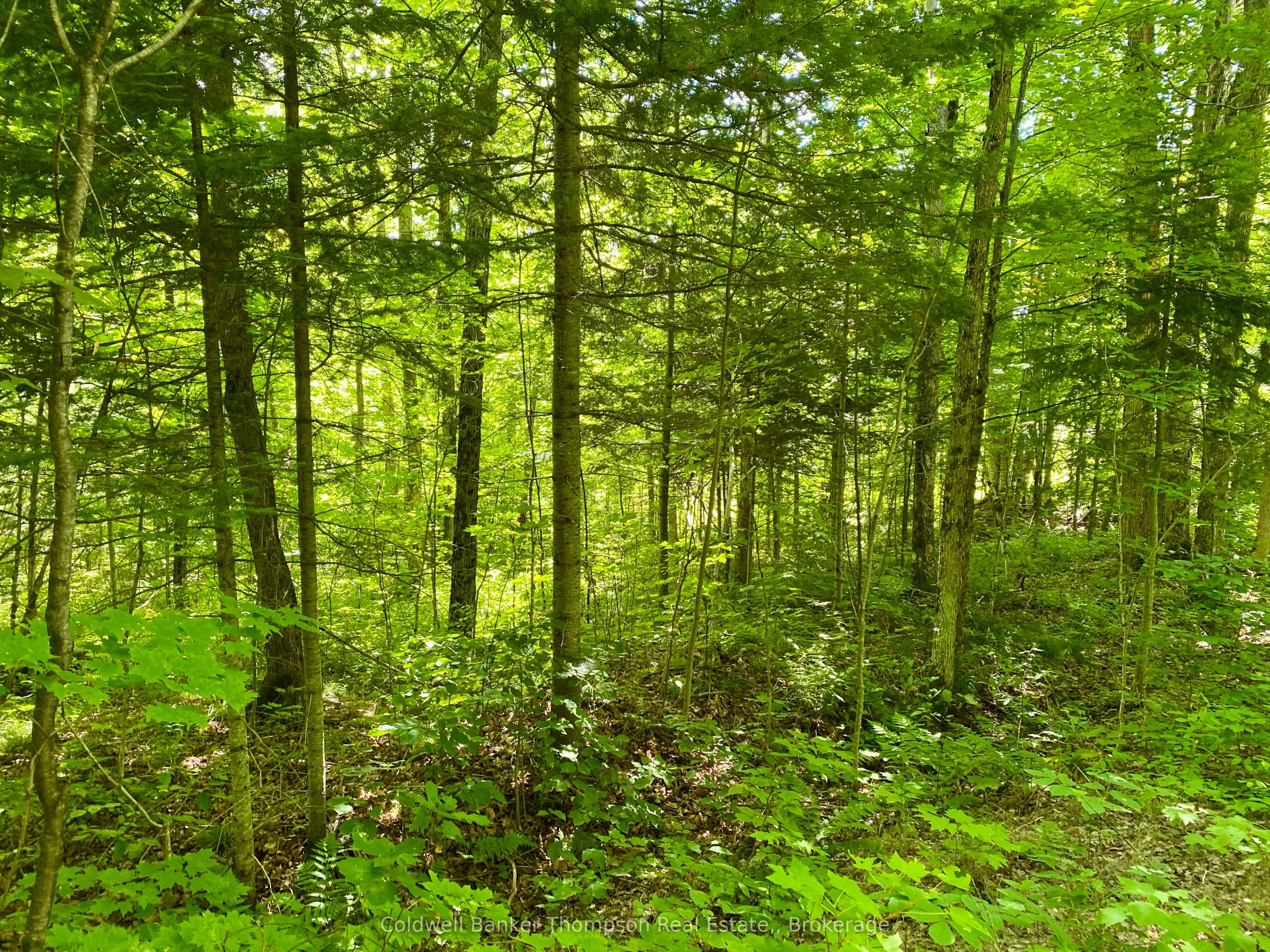 LOT 6-B 522 Highway W