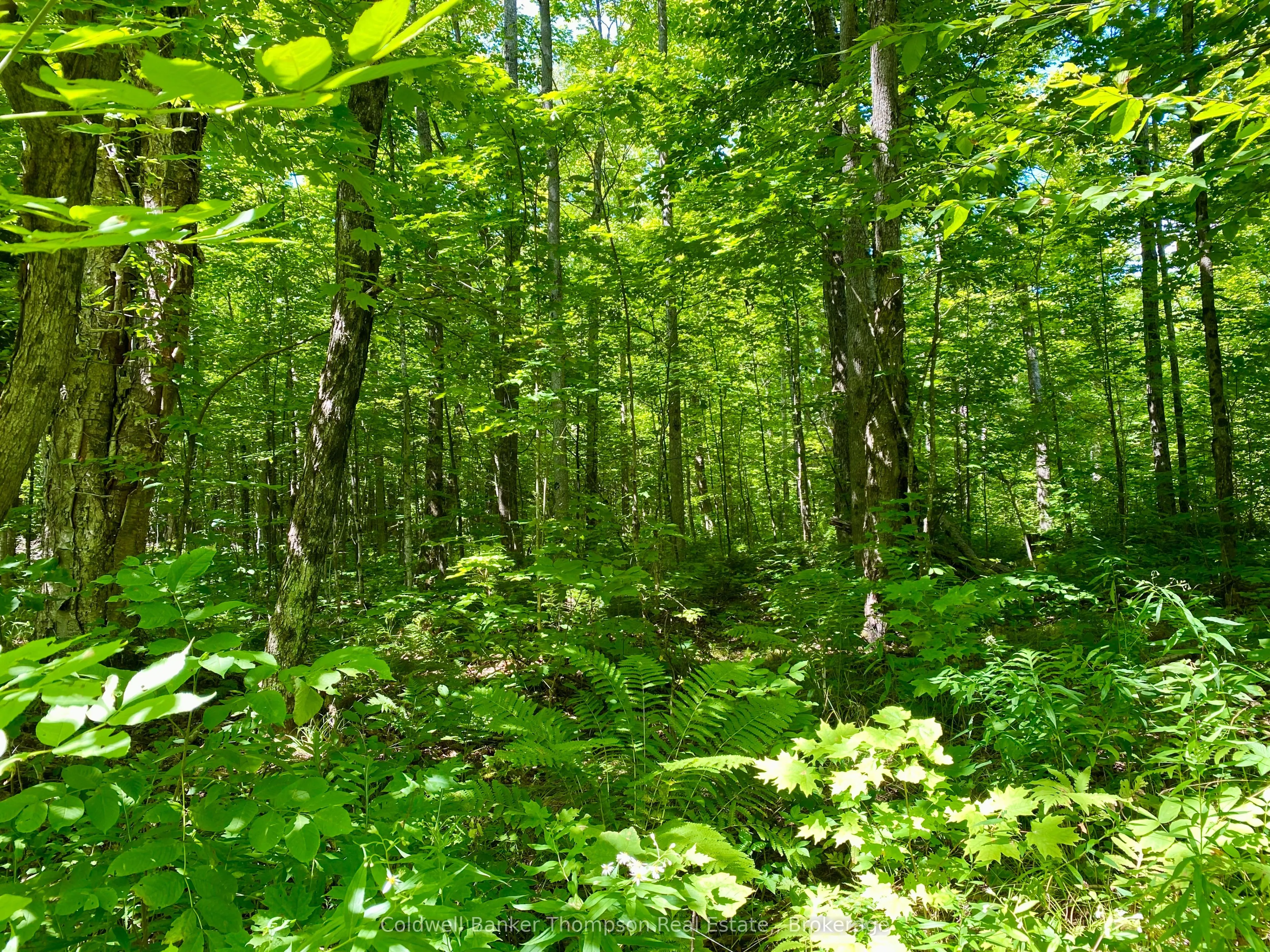 LOT 6-B 522 Highway W