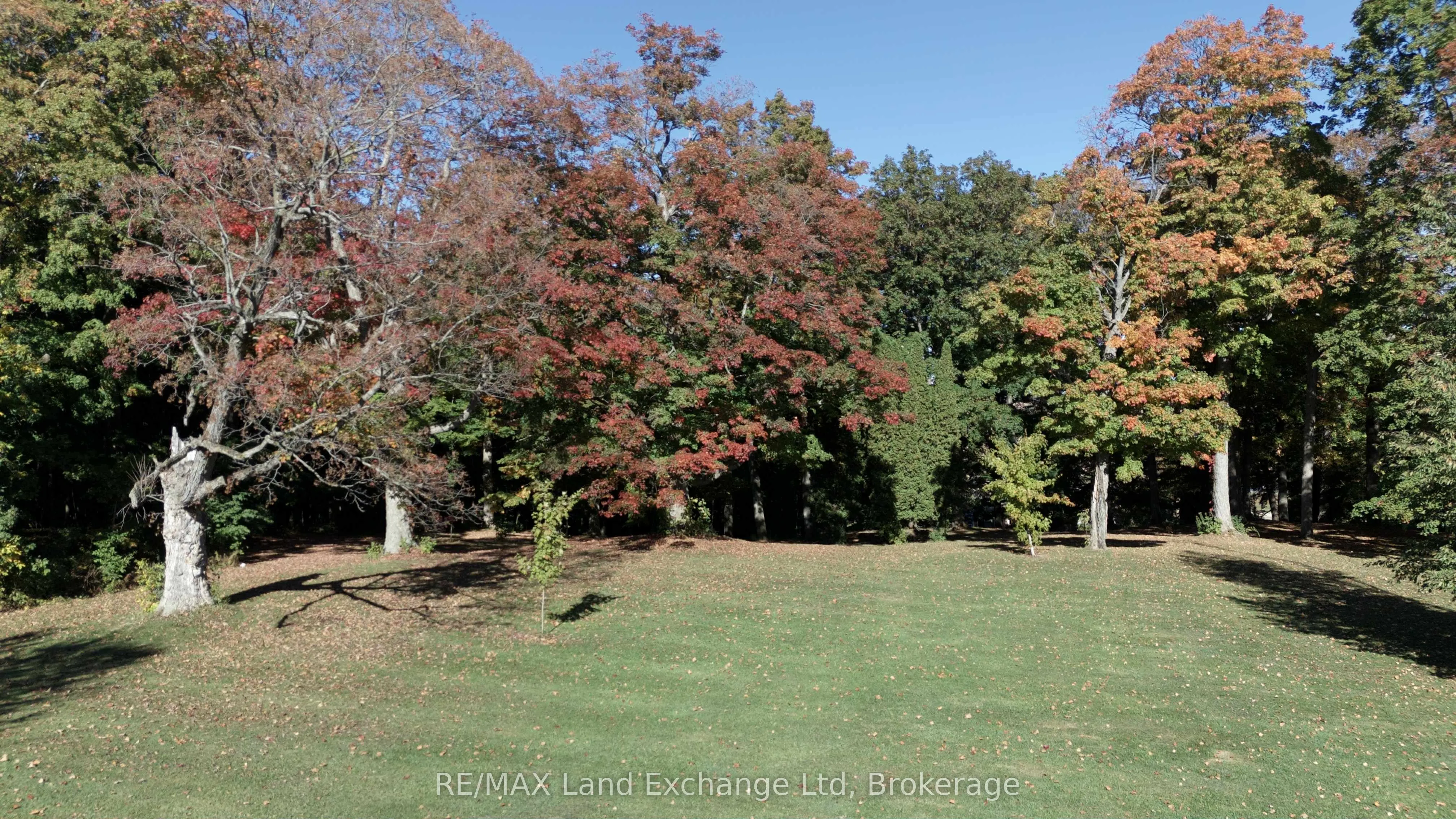 14519 Elginfield Road