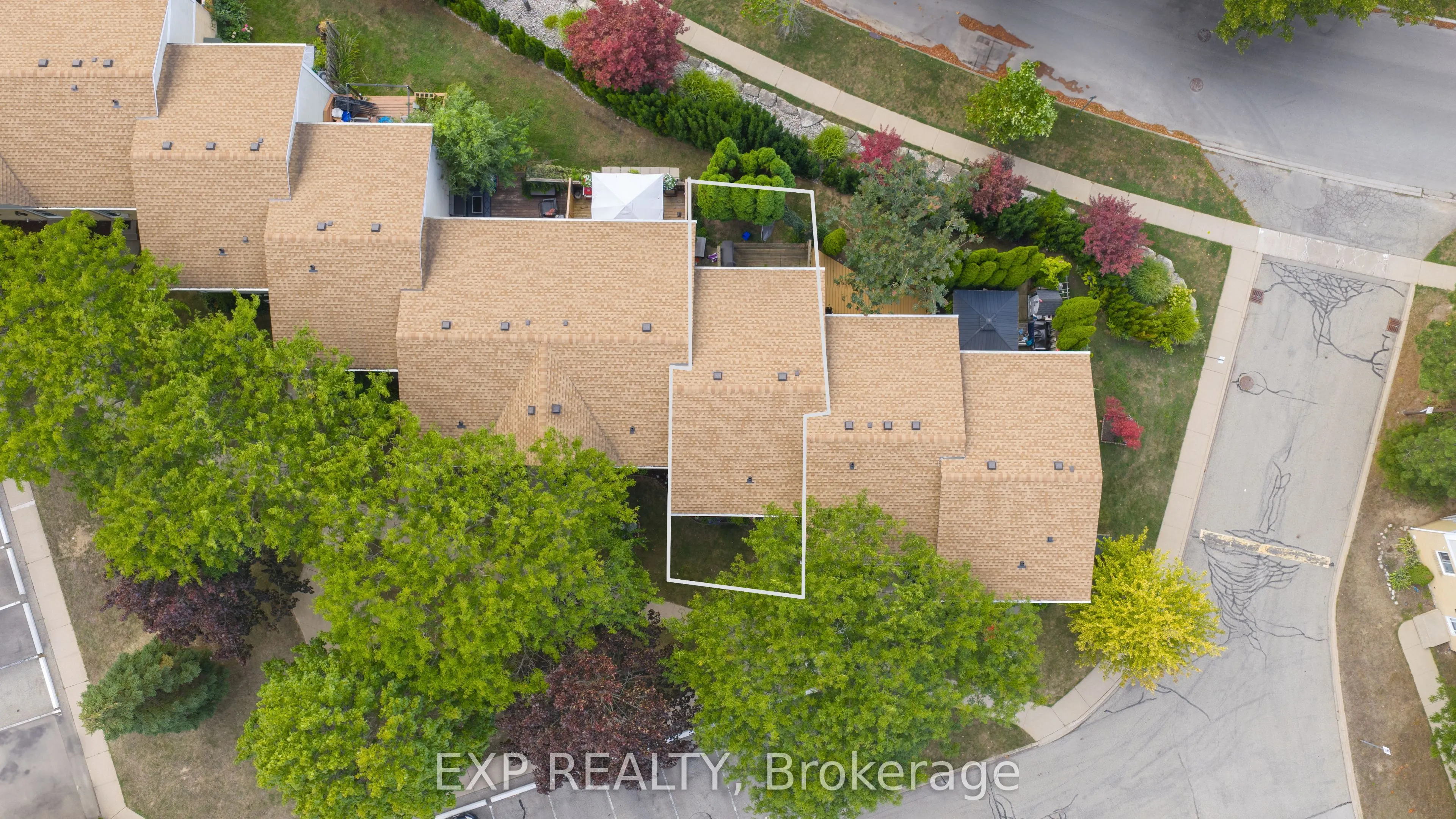 38 Elma Street, #8