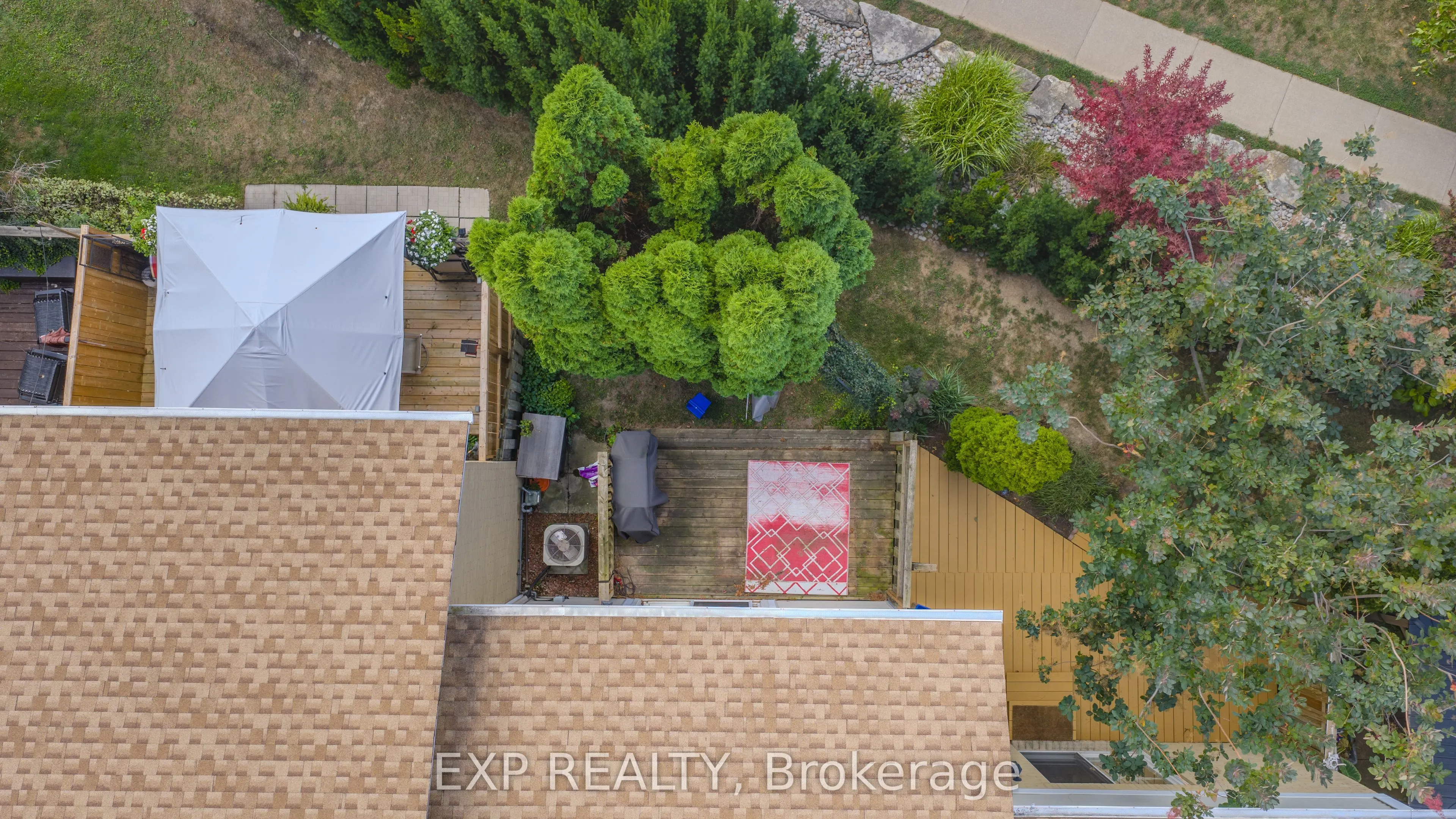 38 Elma Street, #8