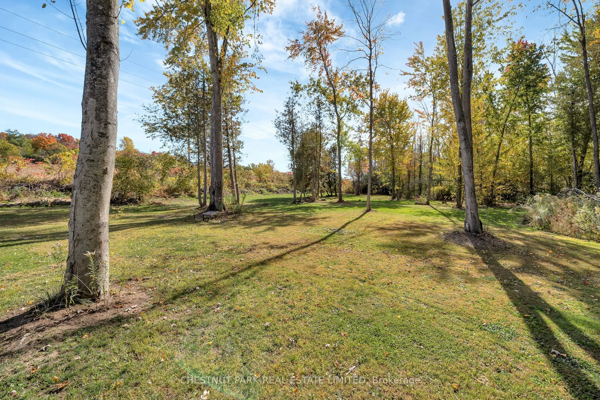 407 County Road 4