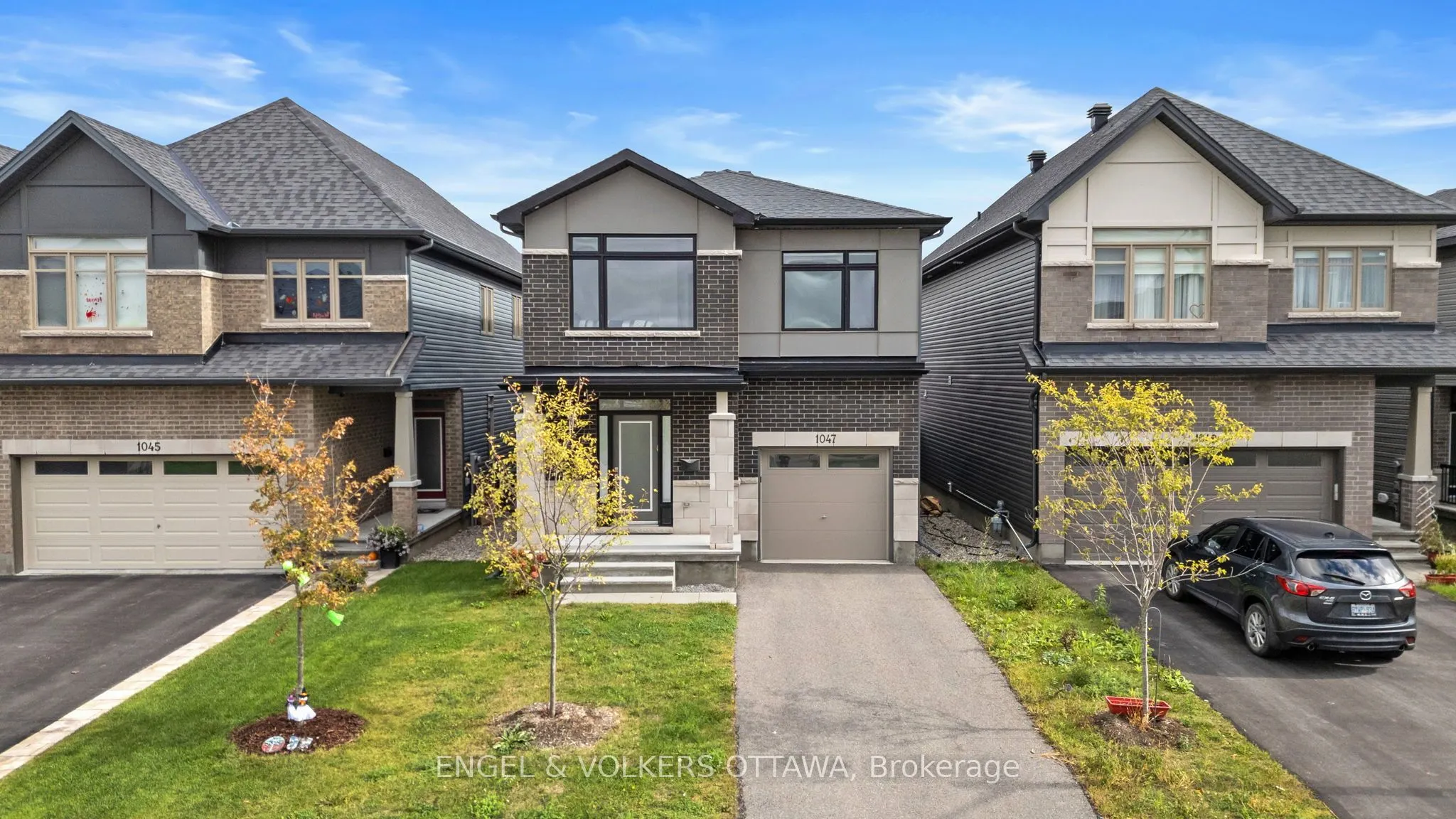 1047 Hydrangea Avenue