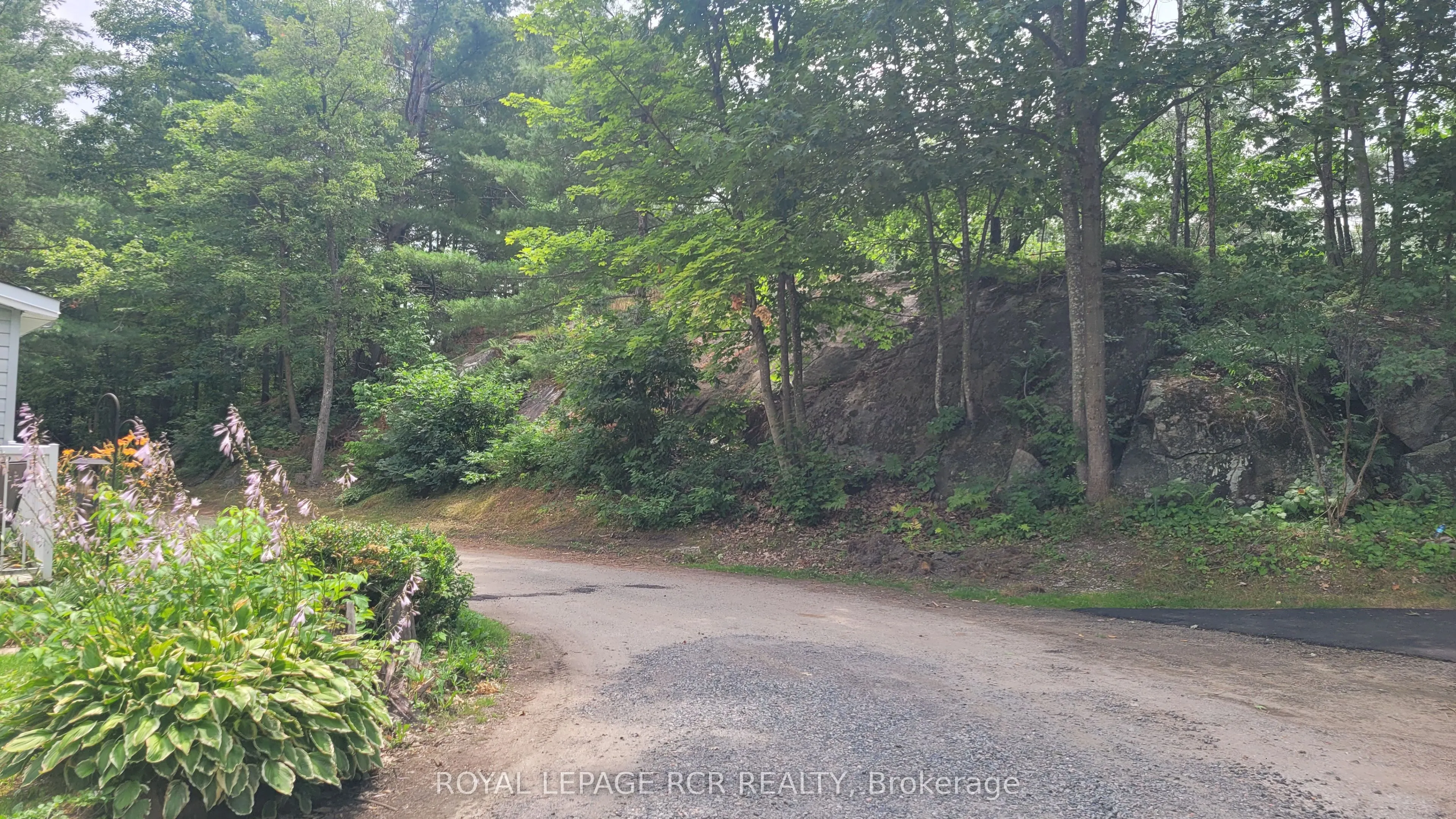 1007 Racoon Road