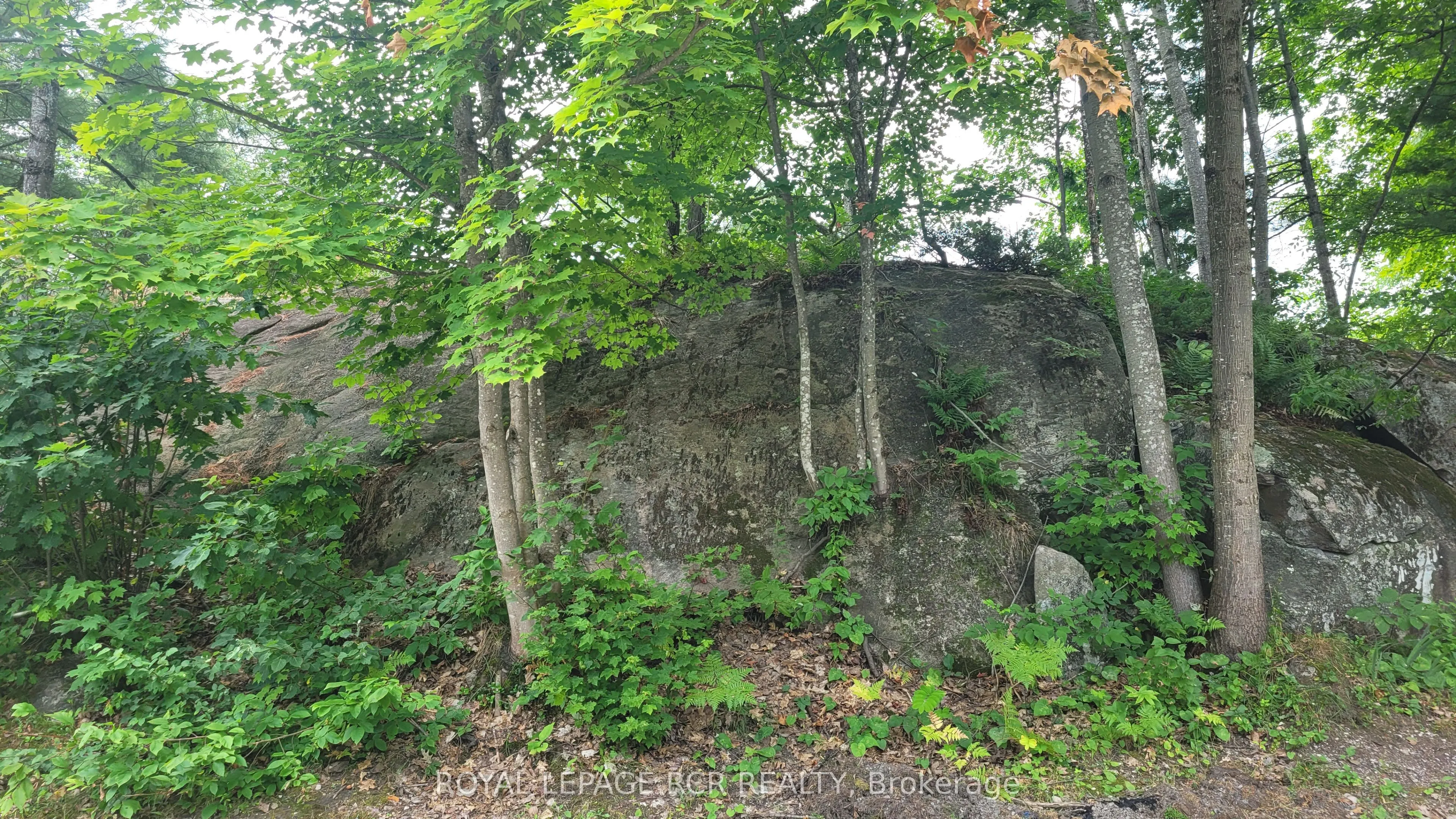 1007 Racoon Road