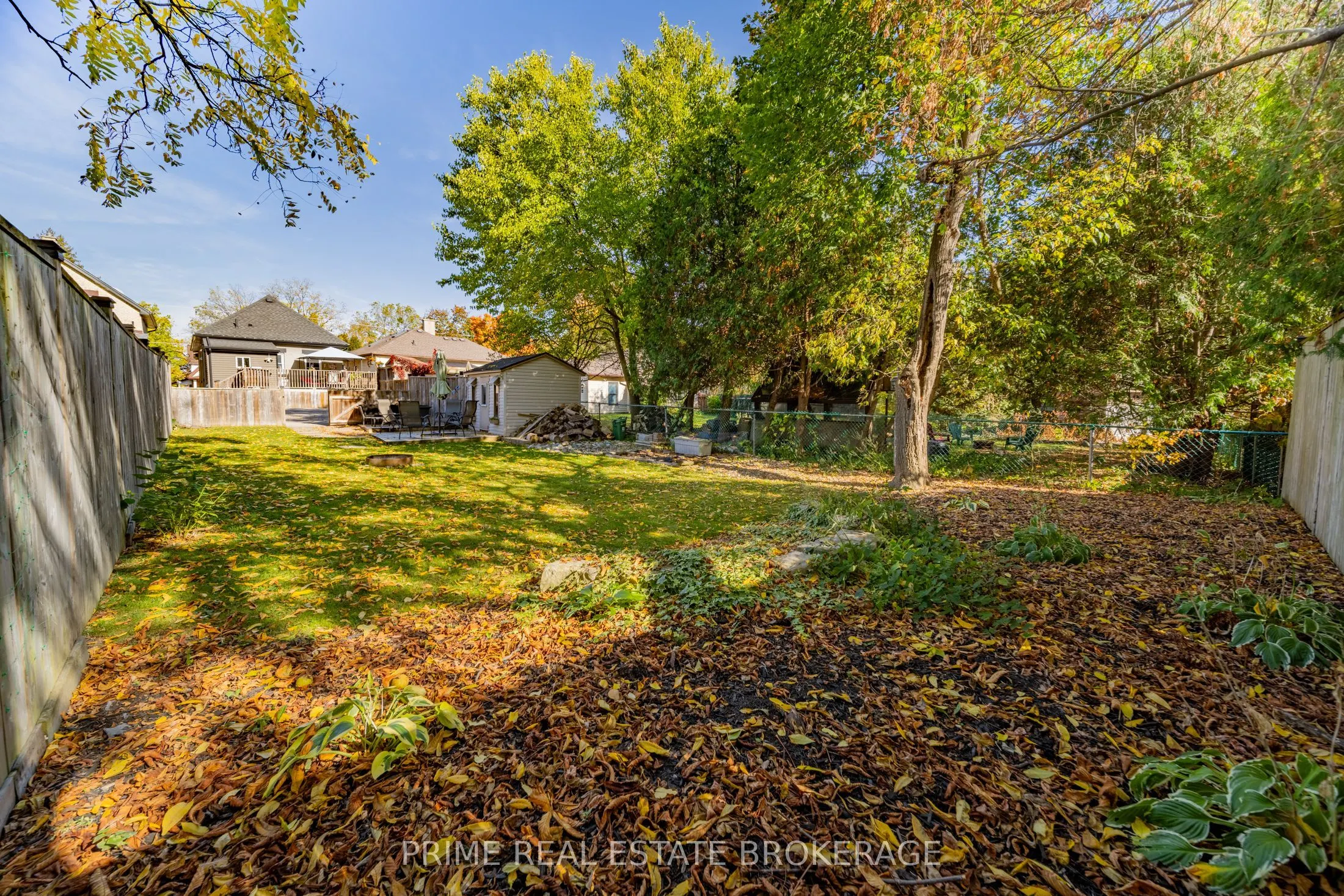 11 Briscoe Street E