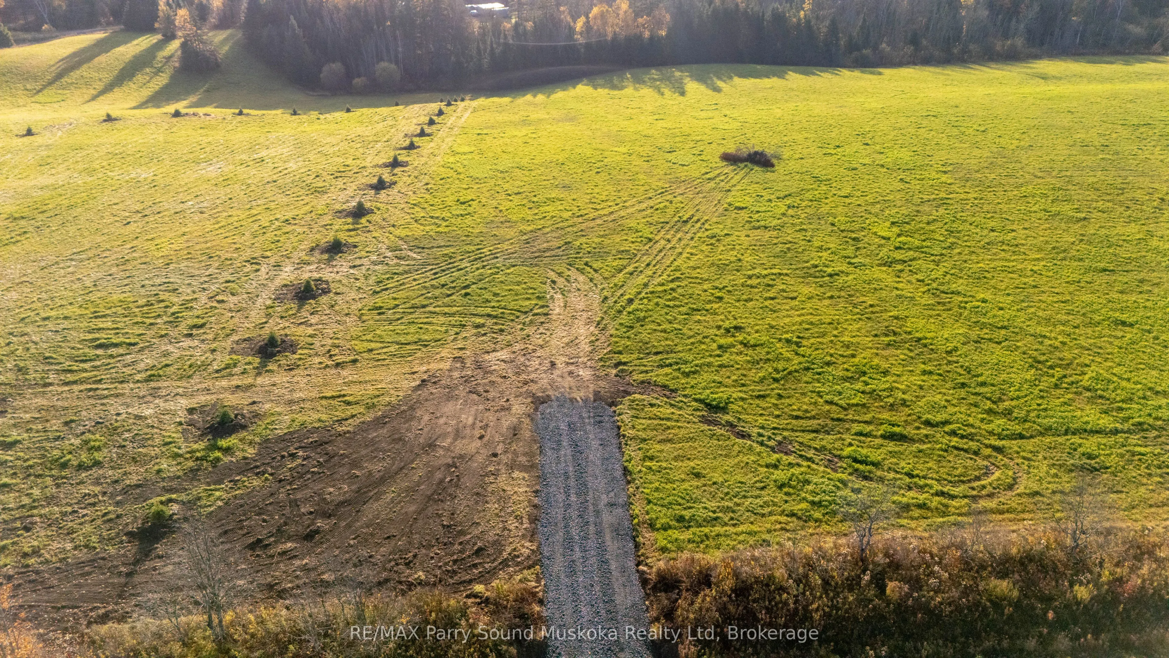 267 Balsam Cross