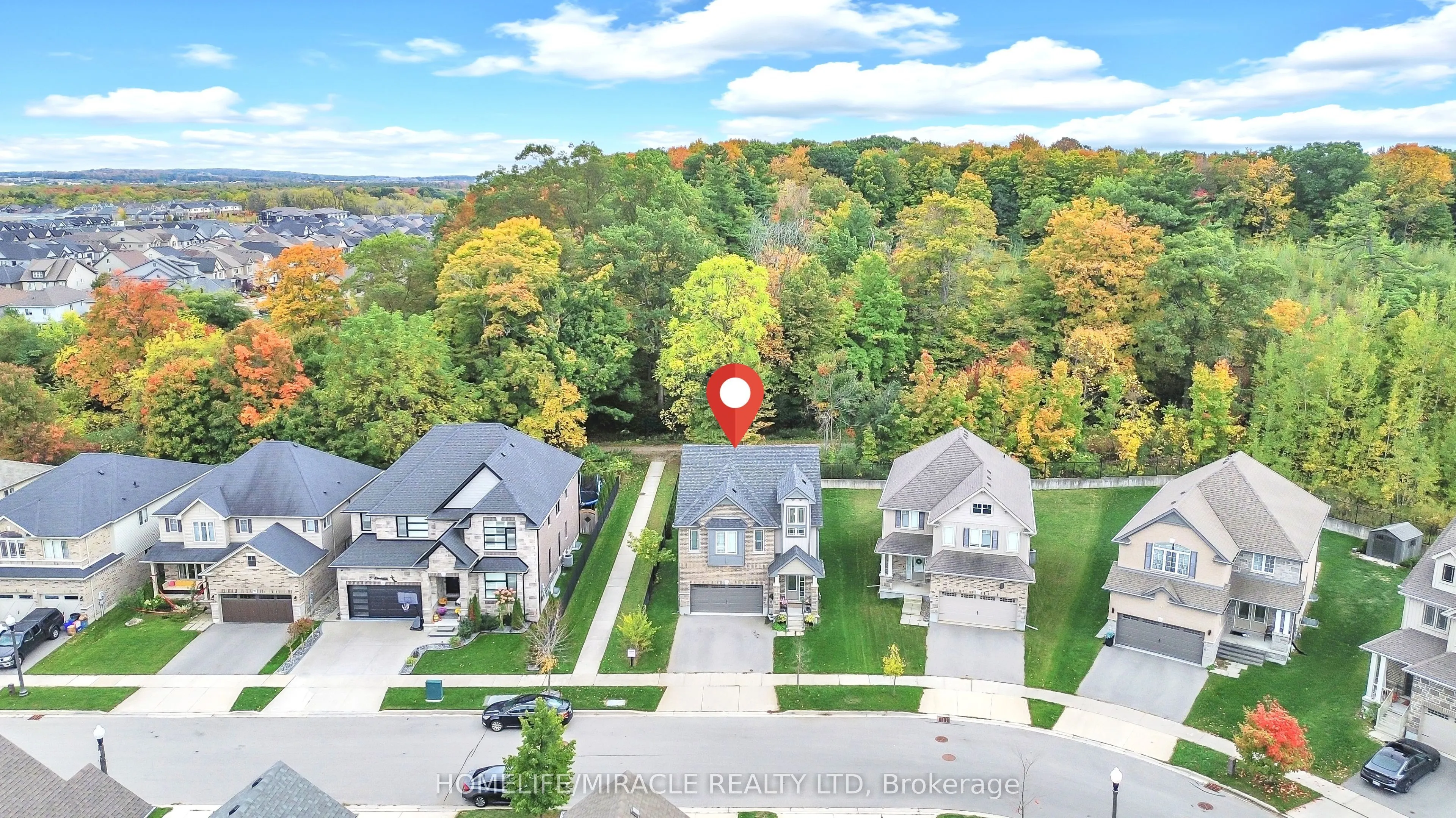 79 Elmbank Trail