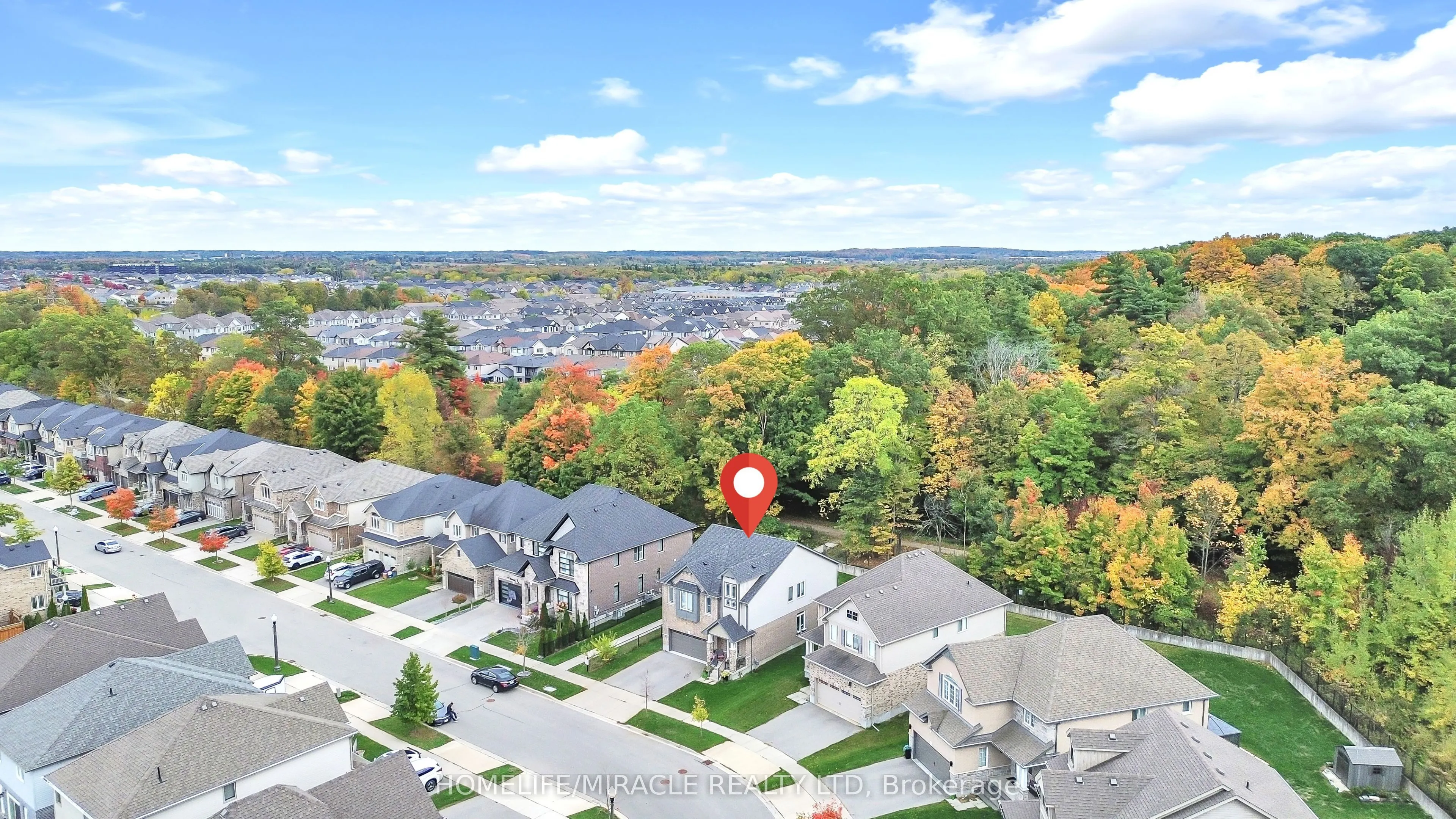 79 Elmbank Trail
