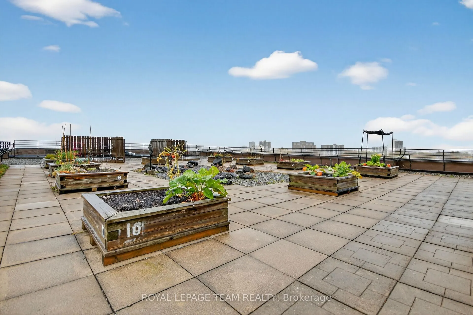 3100 Carling Avenue, #513