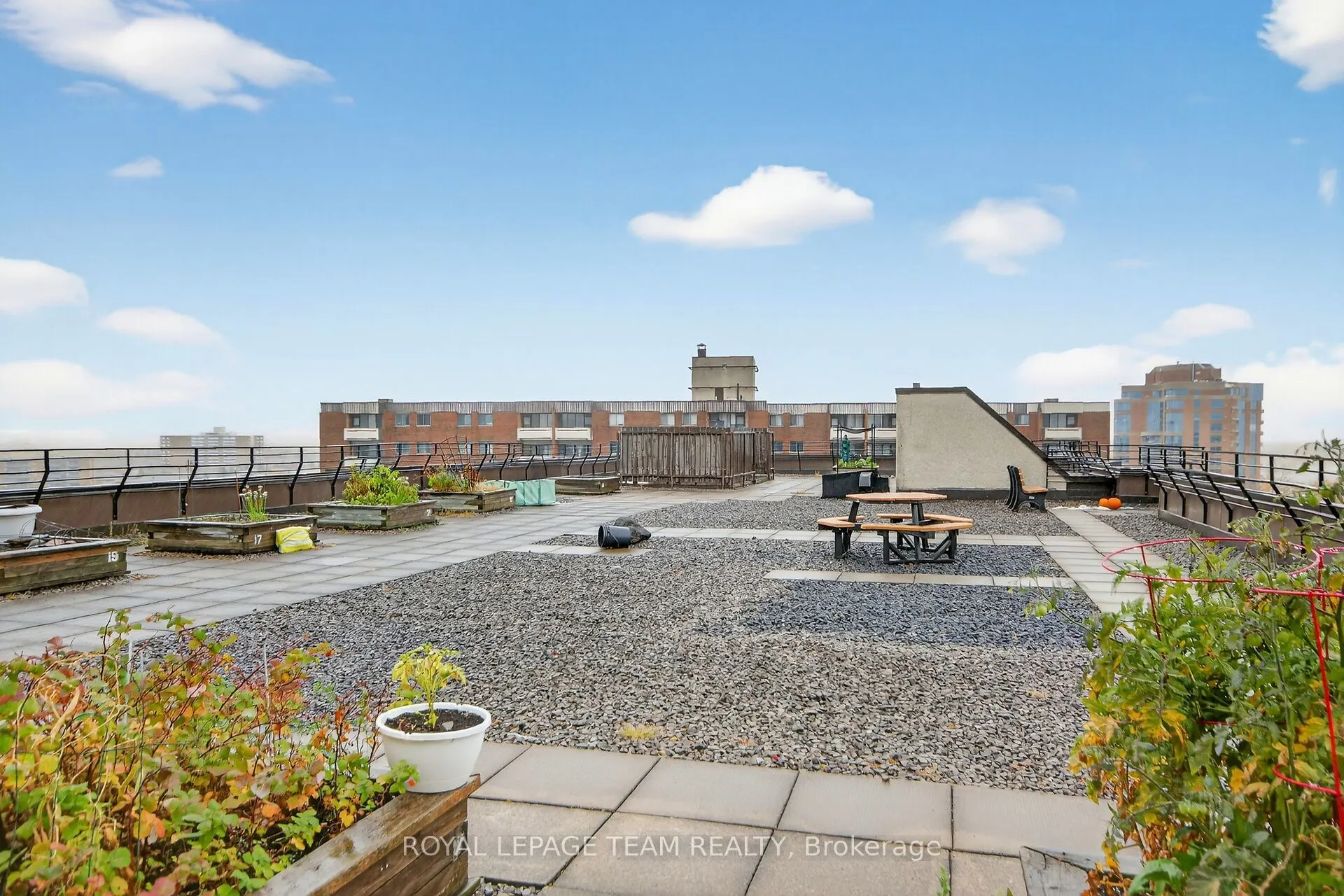 3100 Carling Avenue, #513