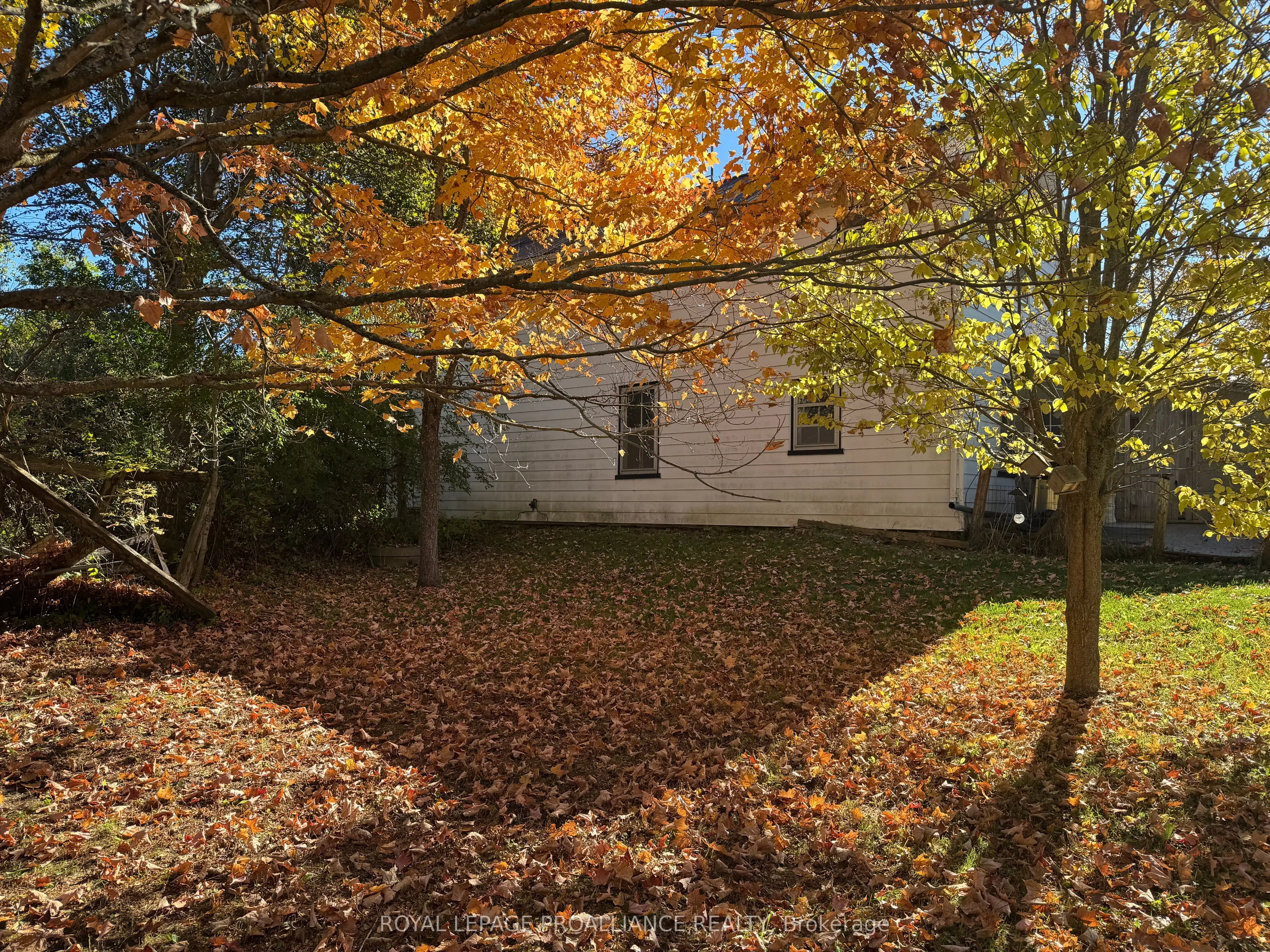 3 Gore Street
