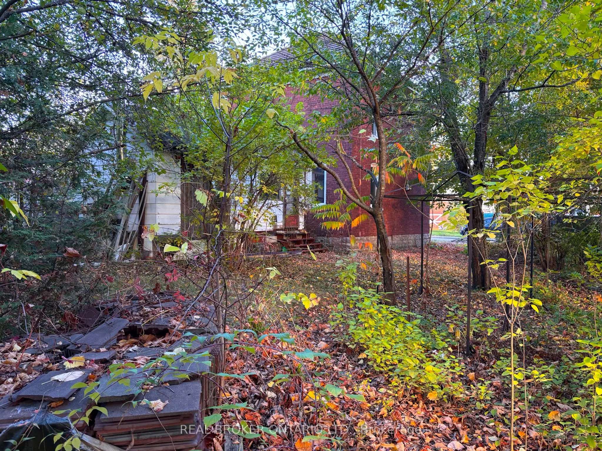 26 Elgin Street