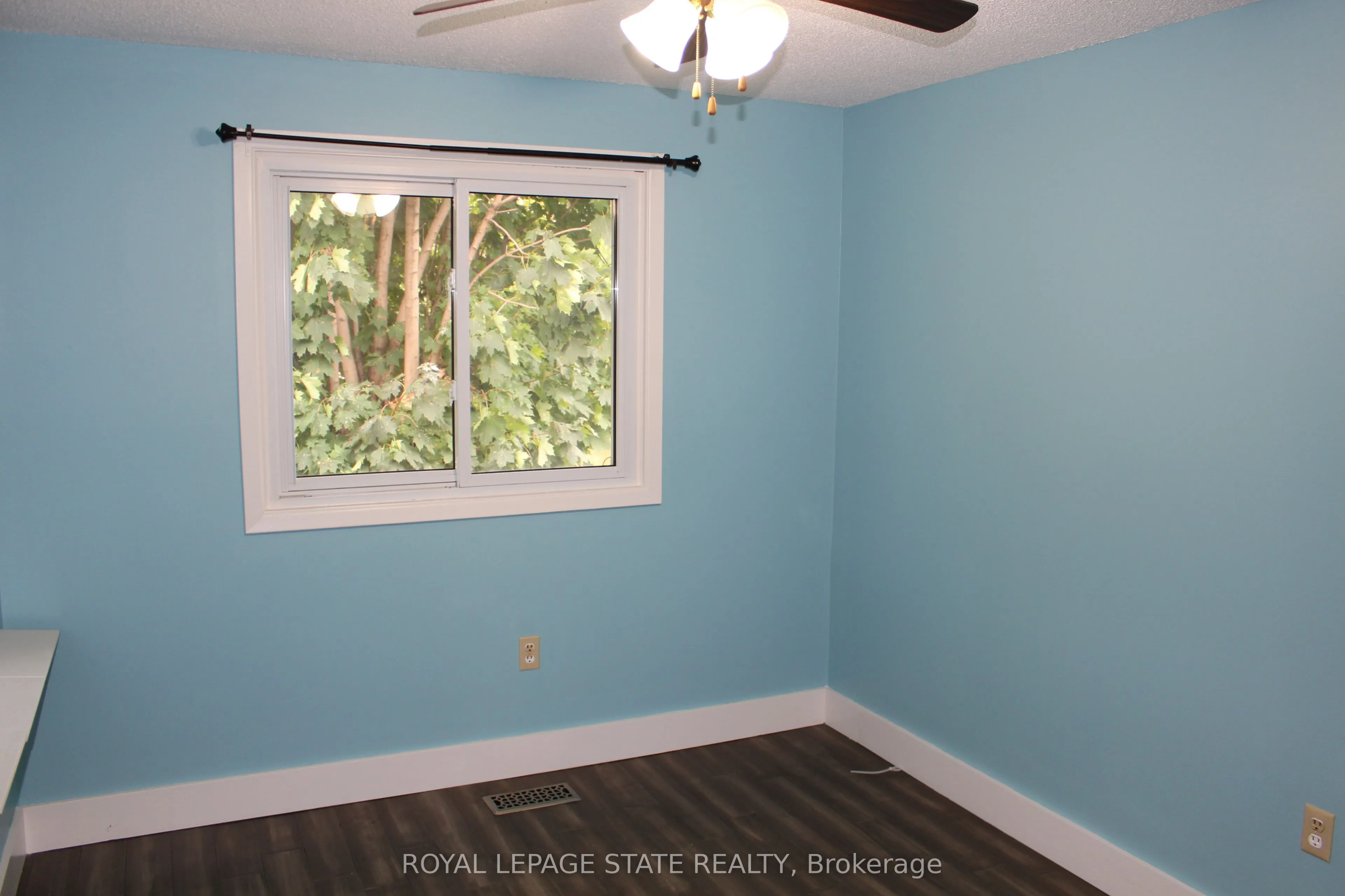 19 cecelia Court