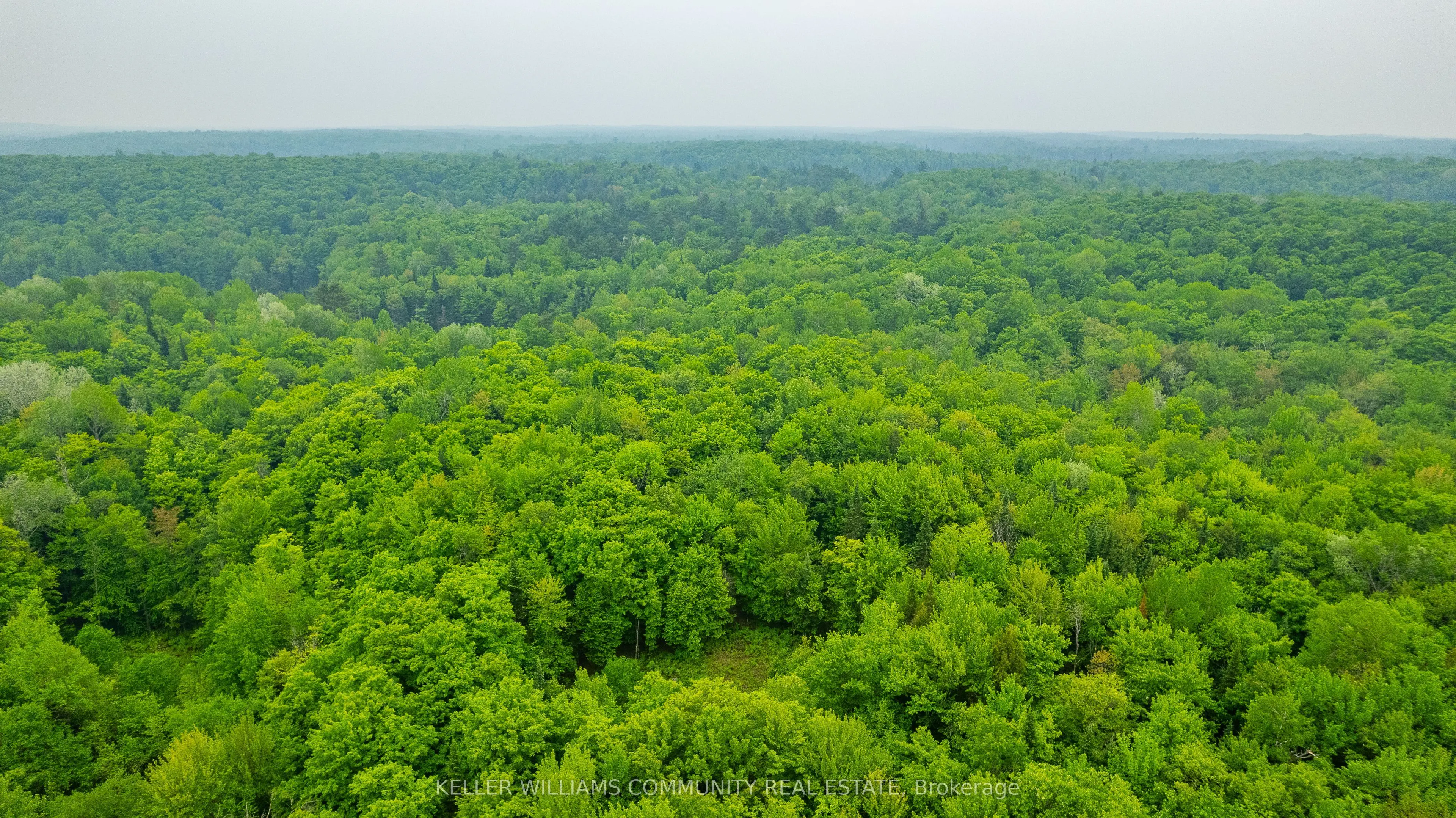 1304 Lower Monmouth Lake Road