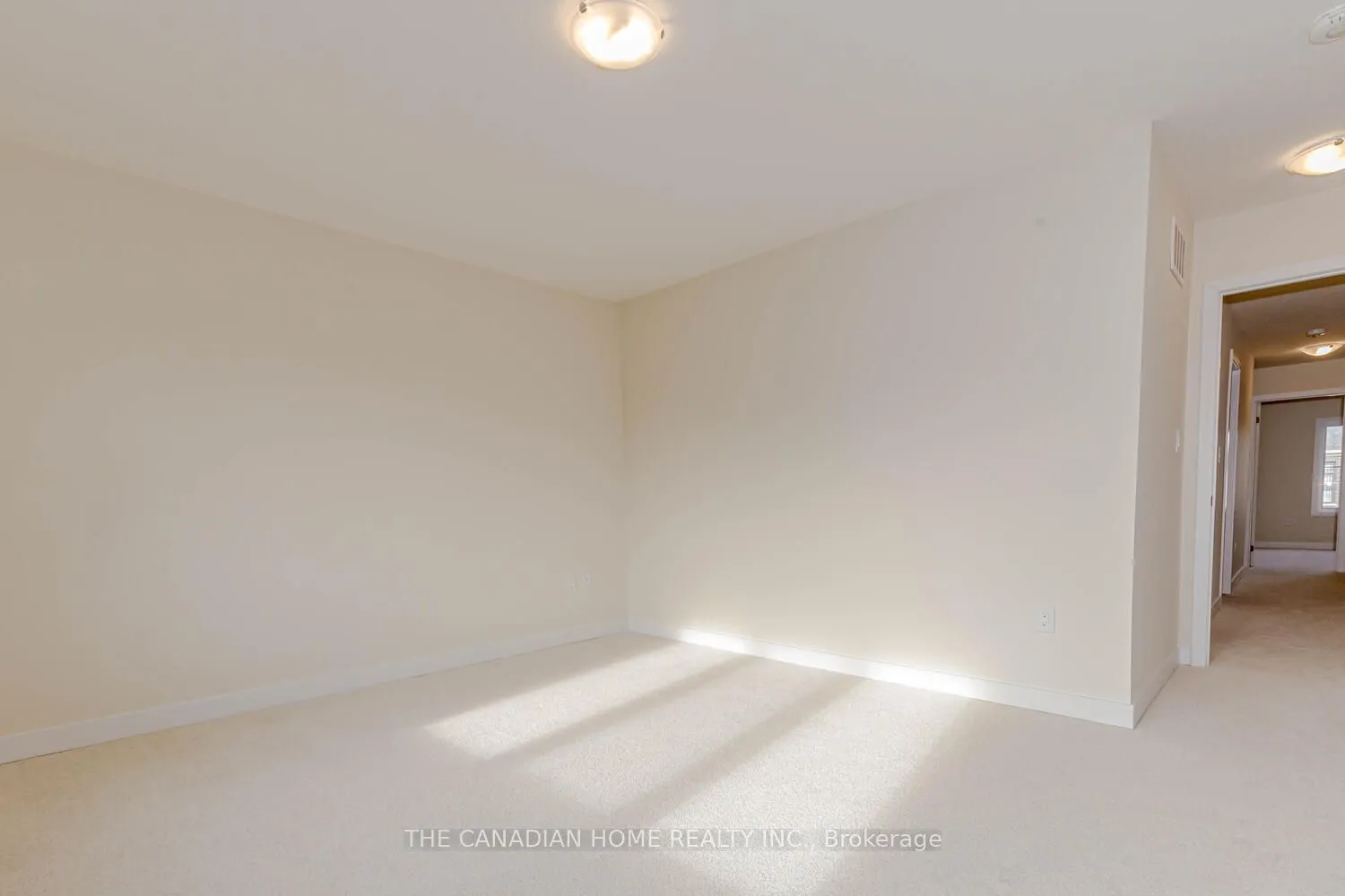 10 SUNFLOWER Crescent