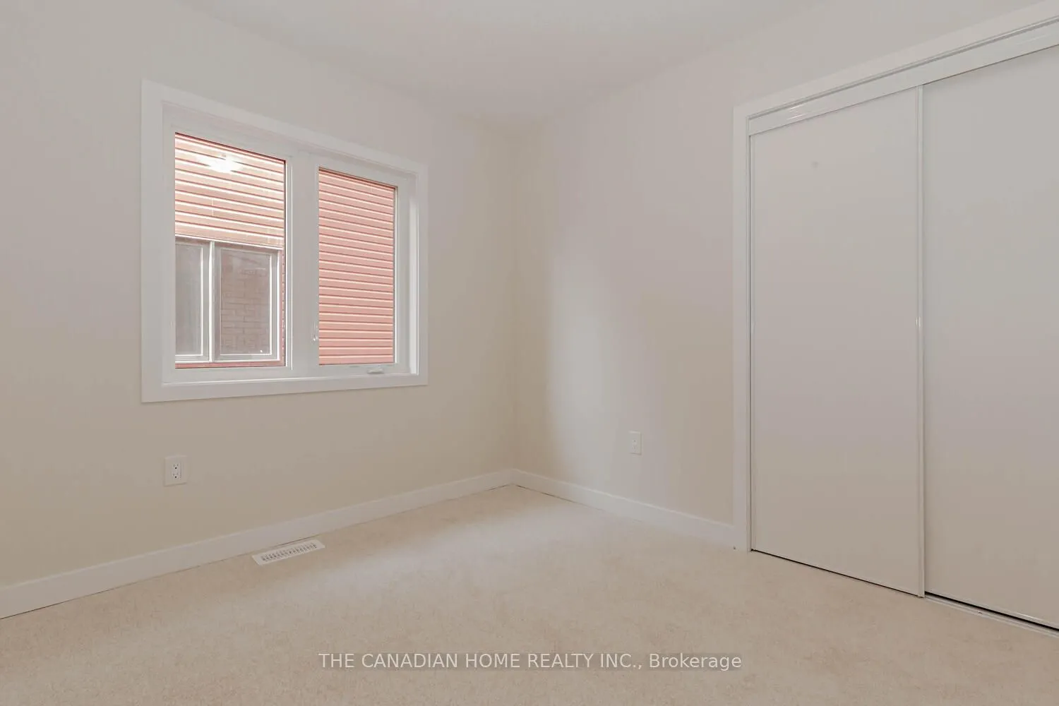 10 SUNFLOWER Crescent