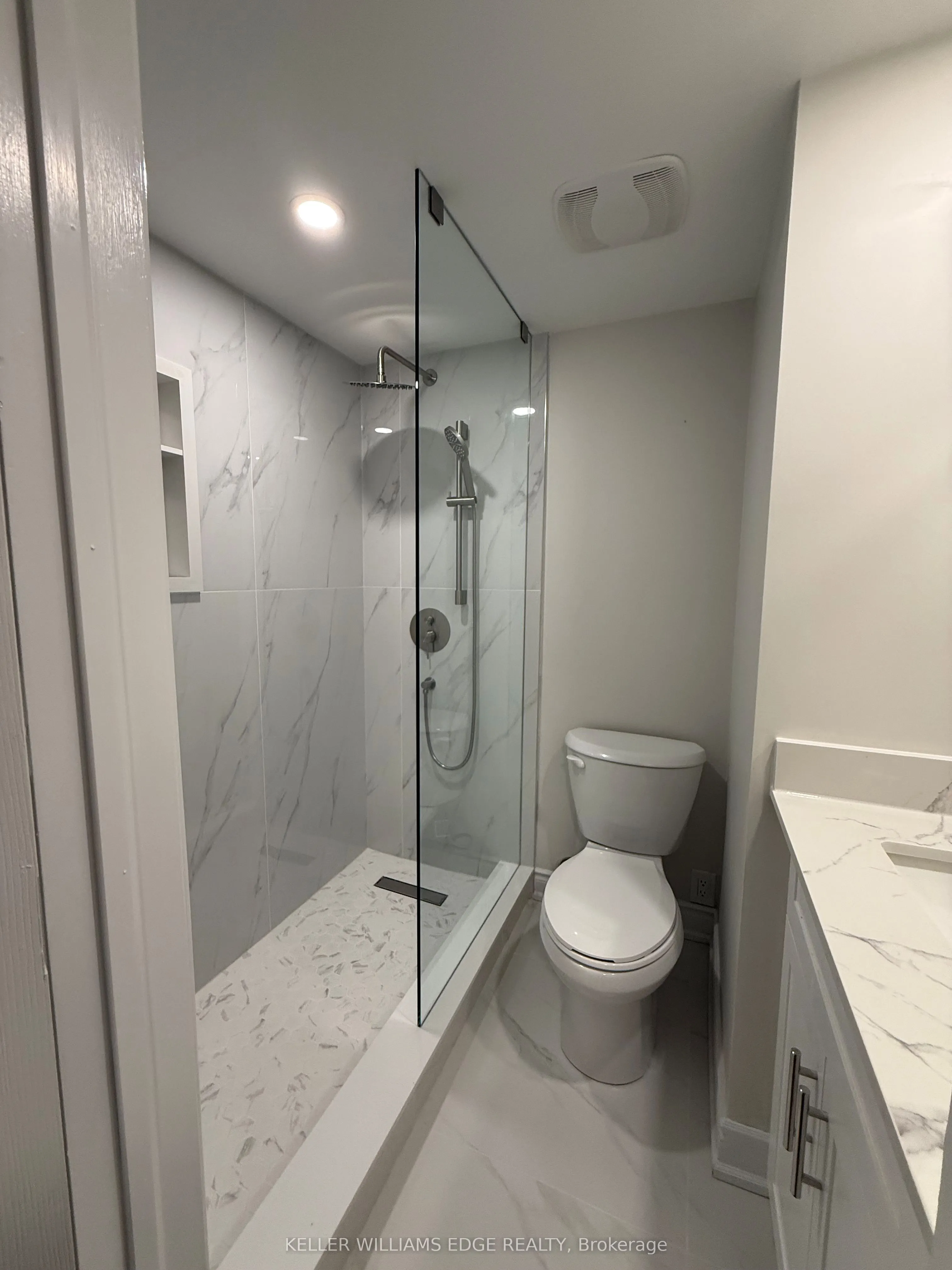 LOWER LEVEL: 87 Peter Street
