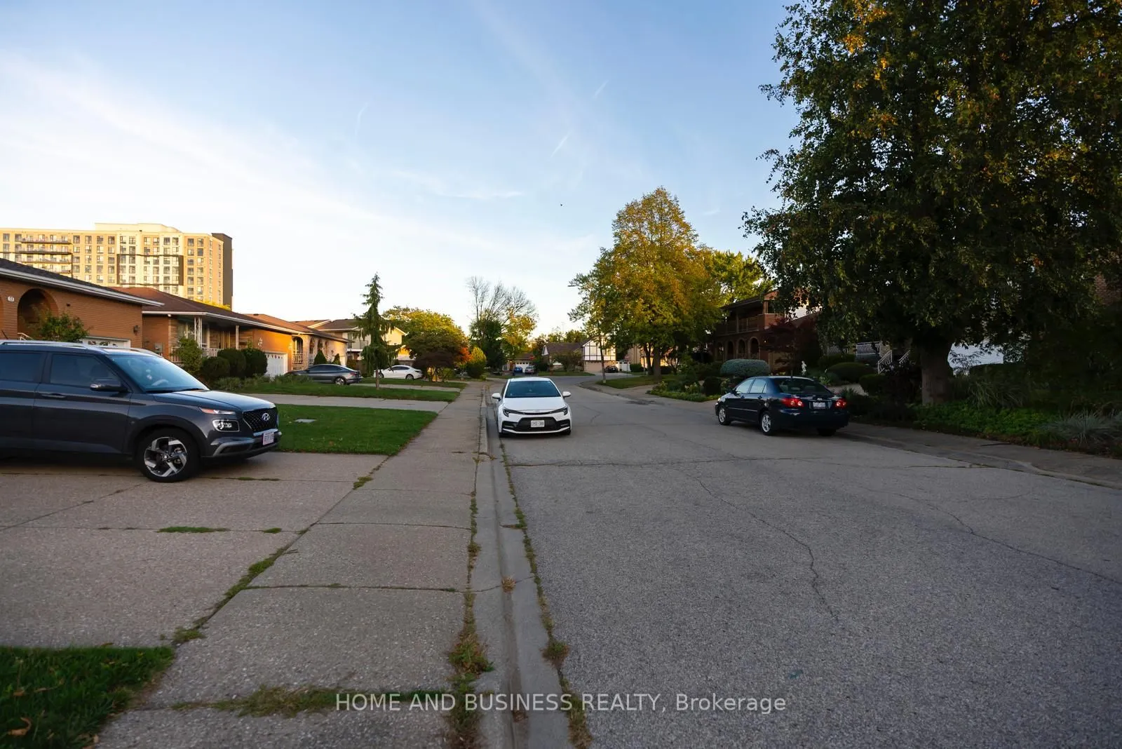 60 Neil Avenue