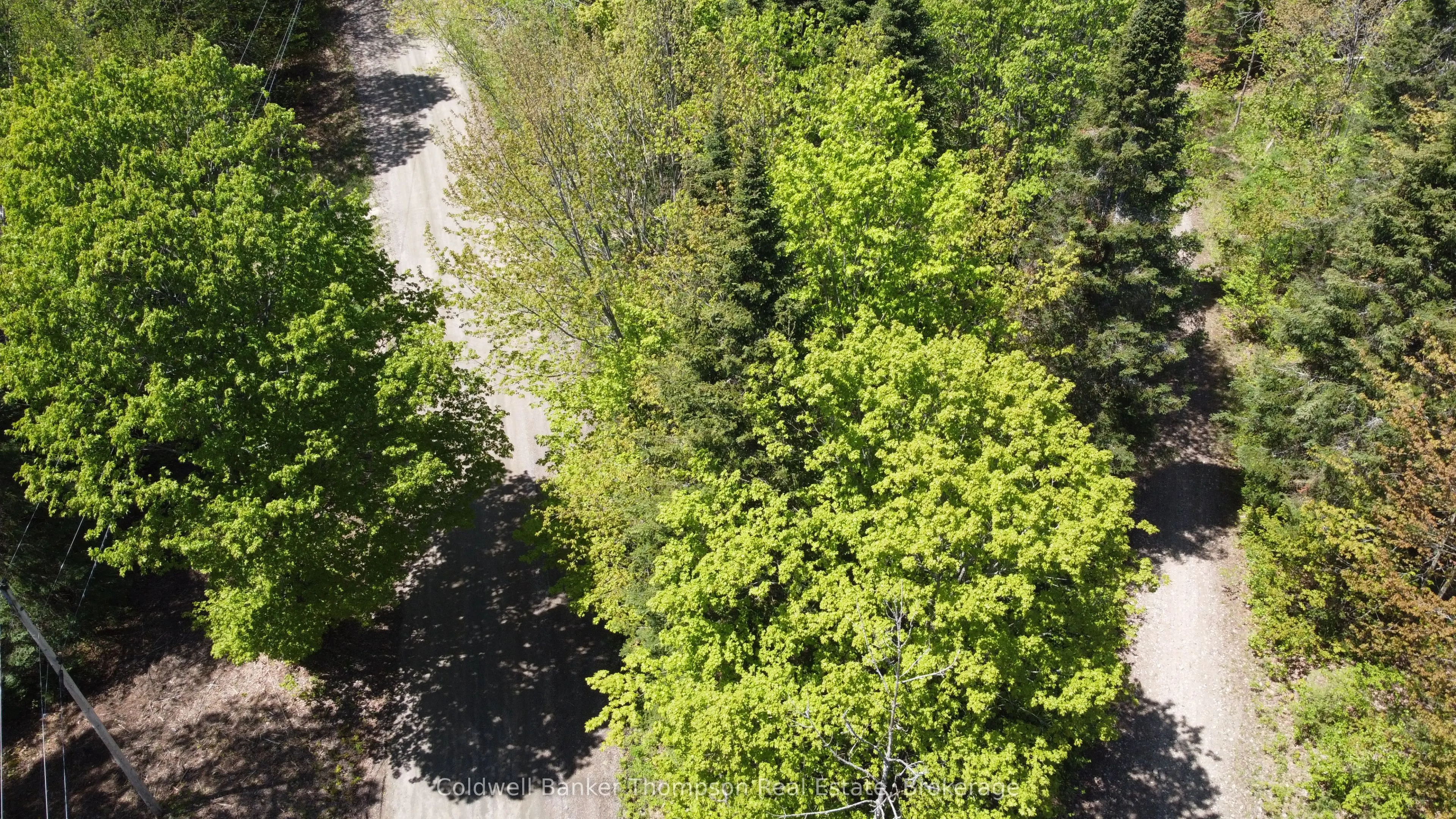 224 Madill Road