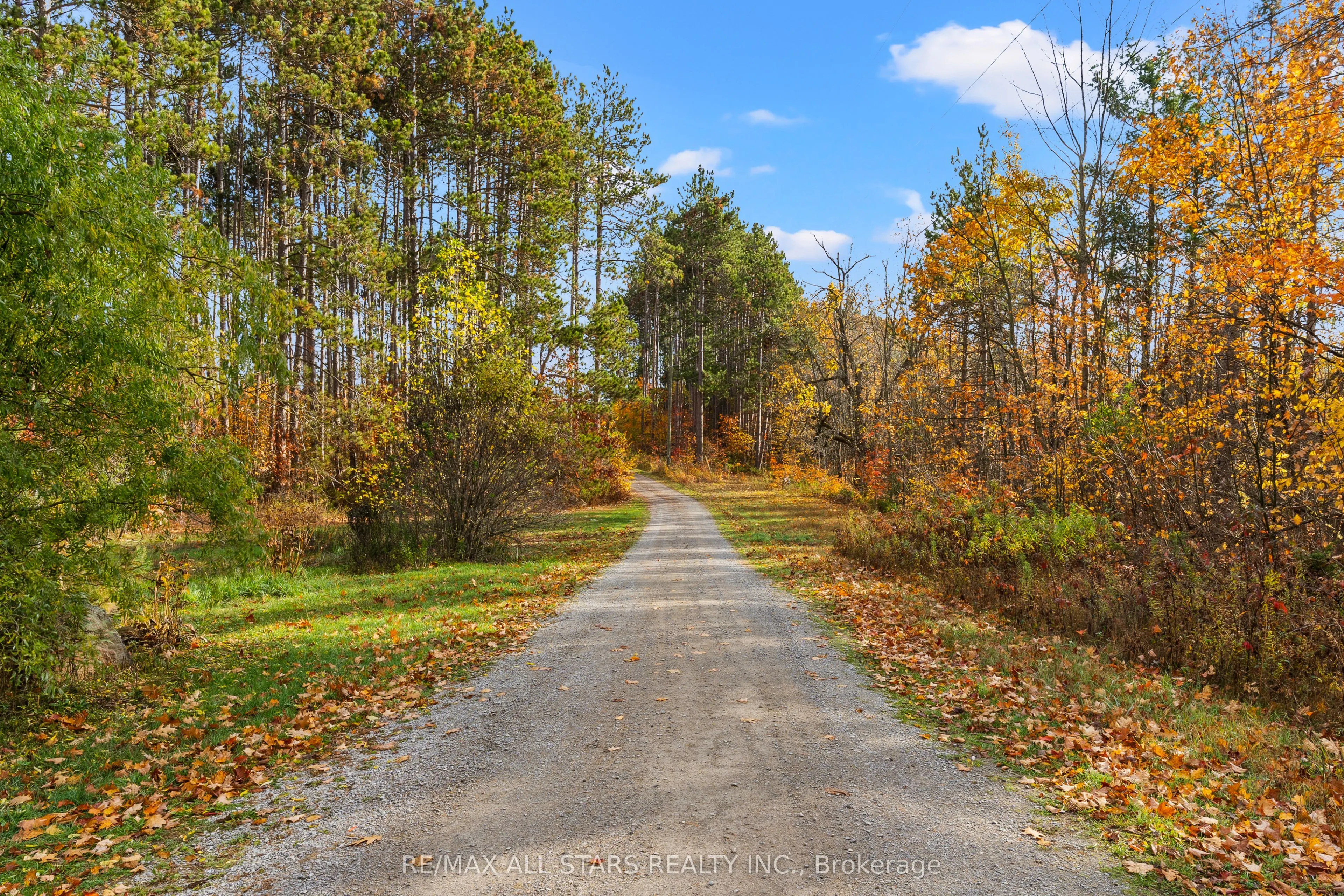 485 Burnt River Road