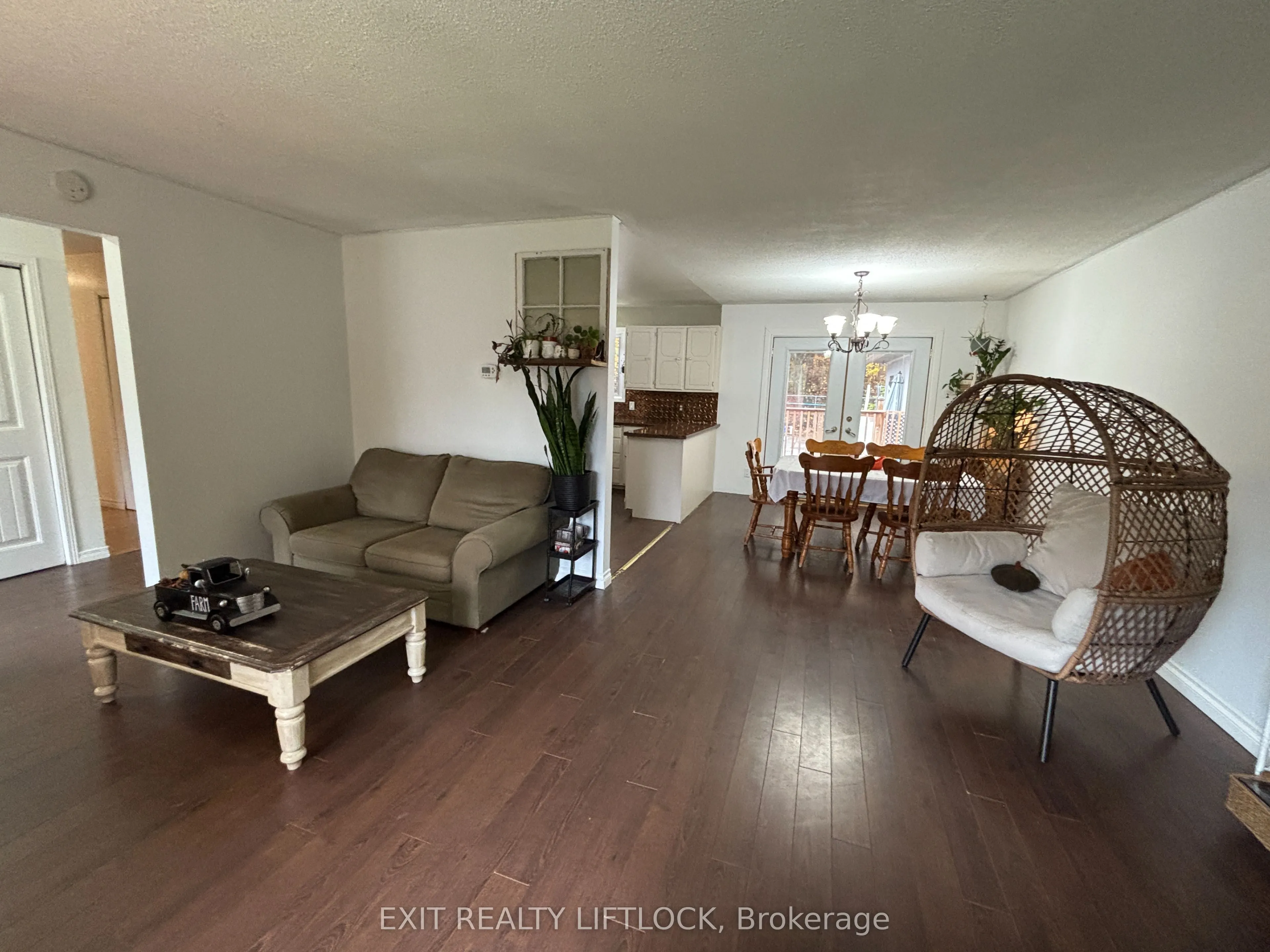 404 Belmont Concession 8