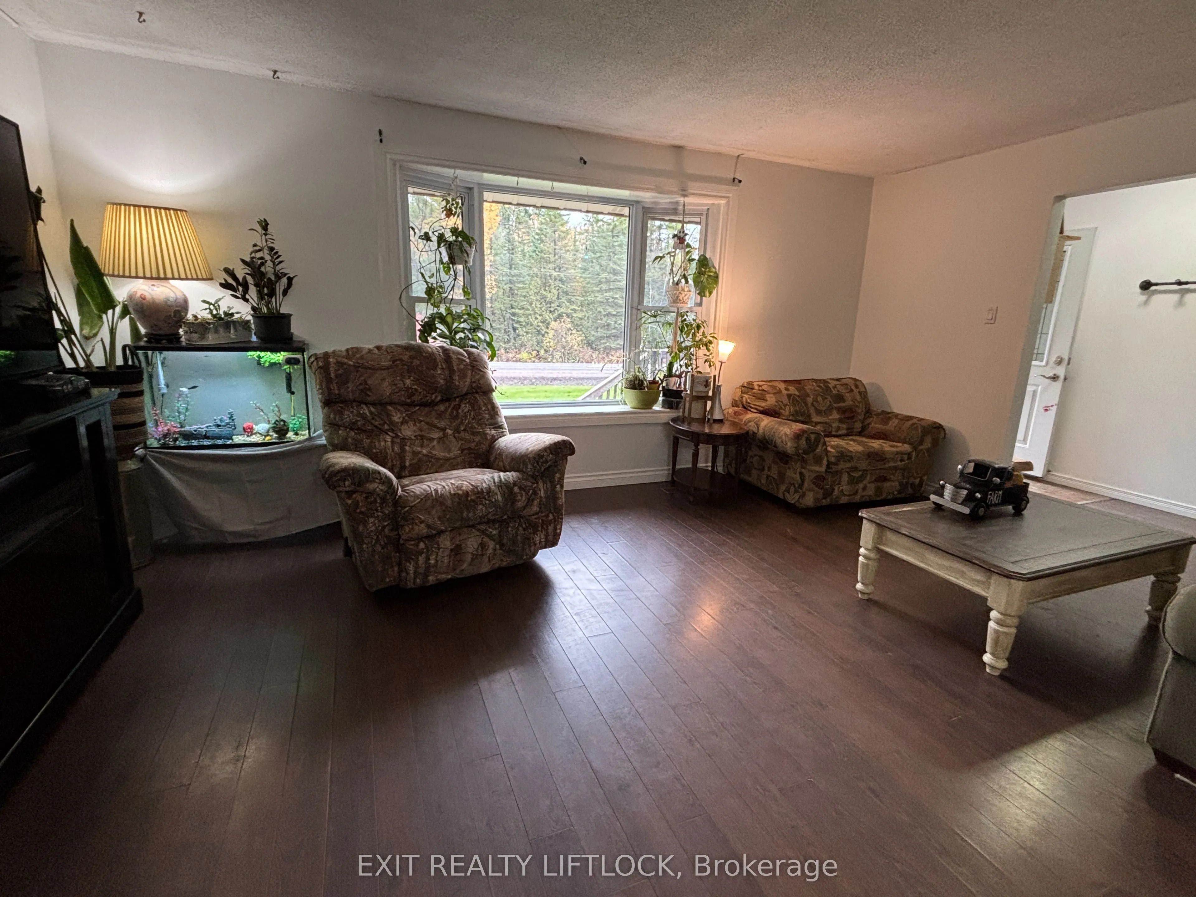 404 Belmont Concession 8