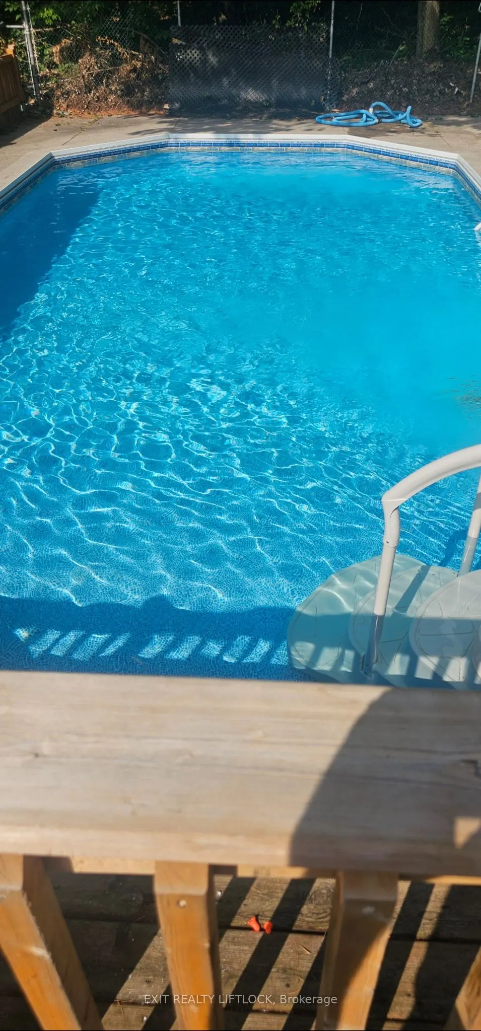 404 Belmont Concession 8