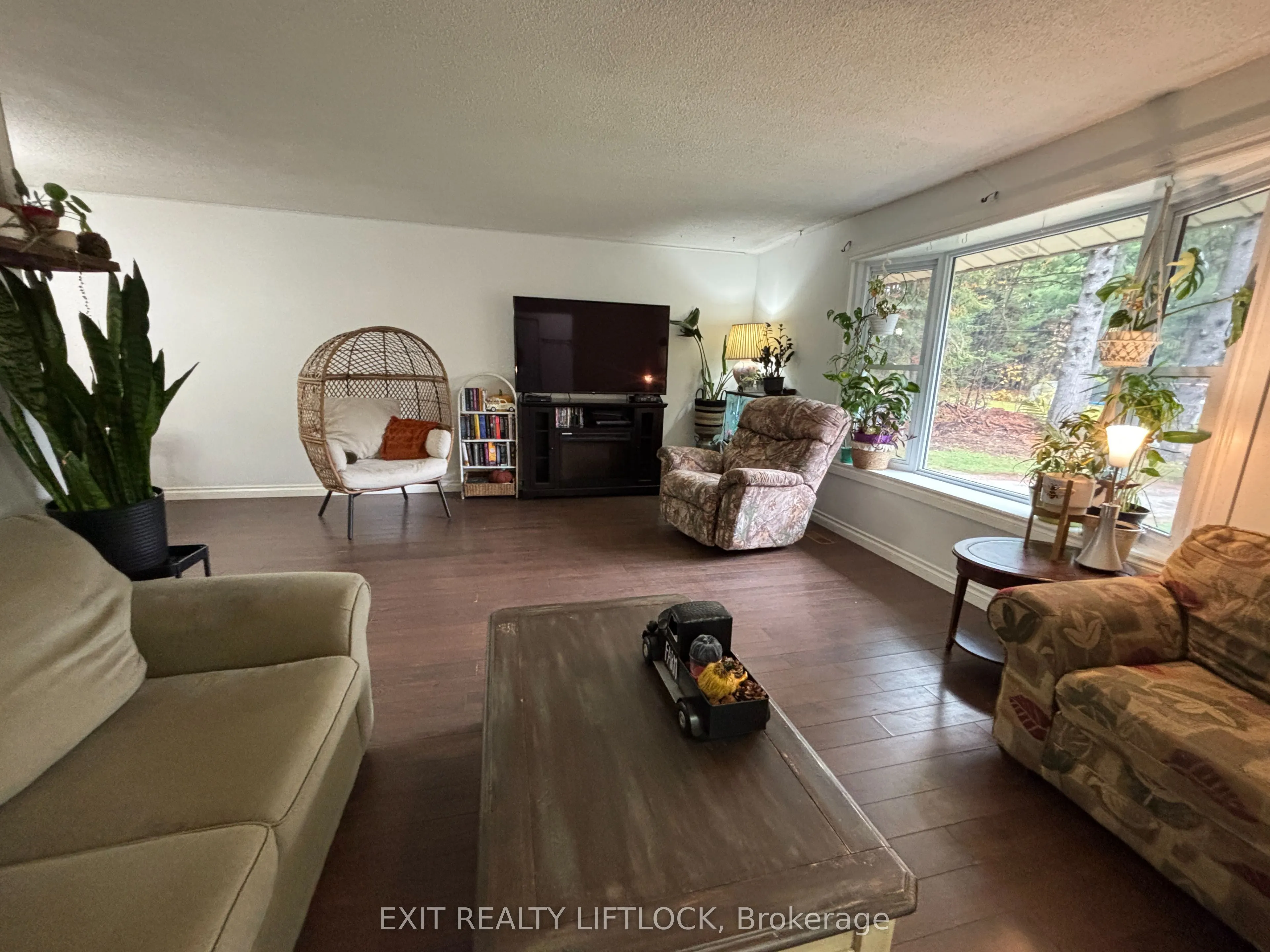 404 Belmont Concession 8