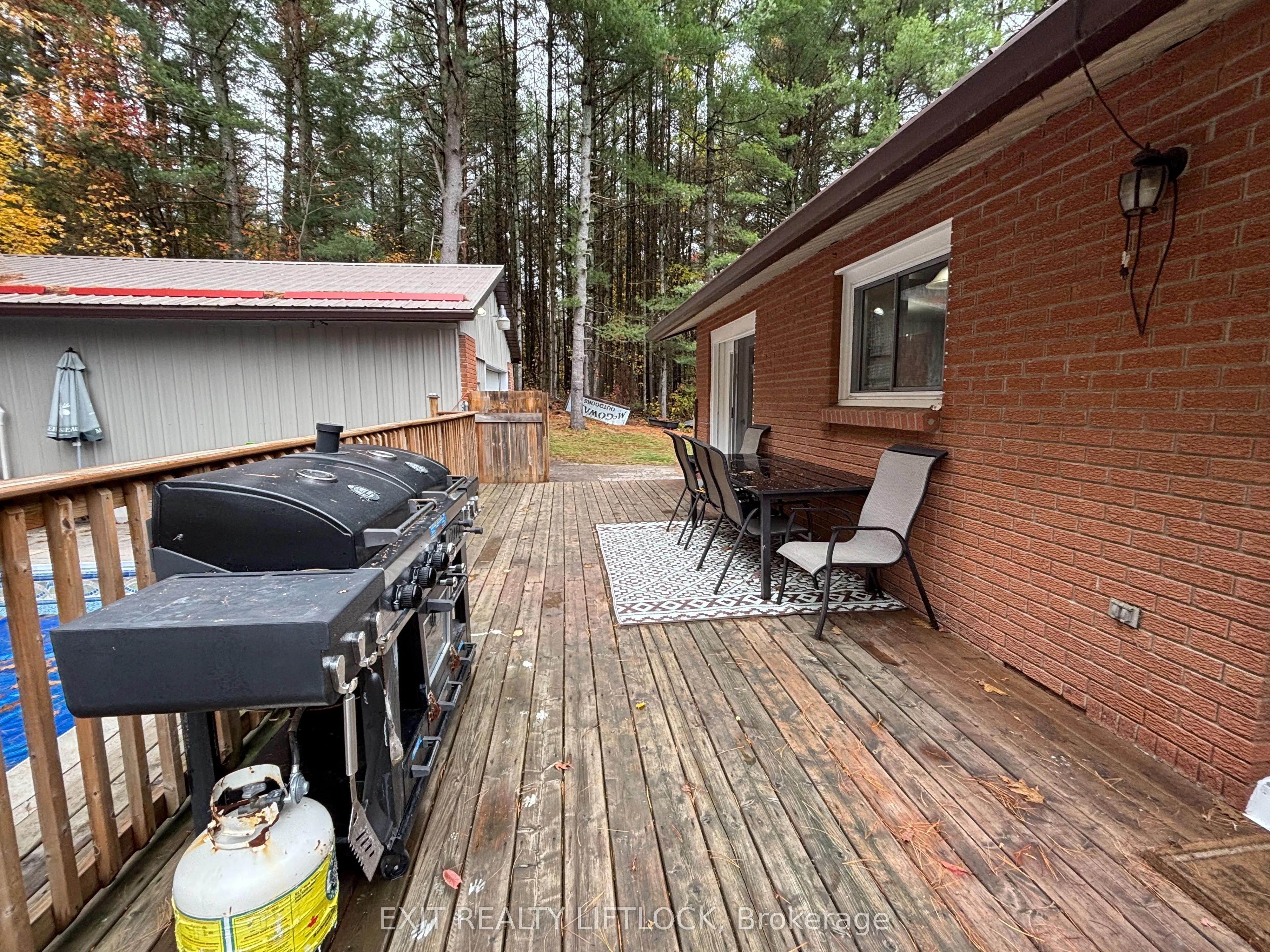 404 Belmont Concession 8