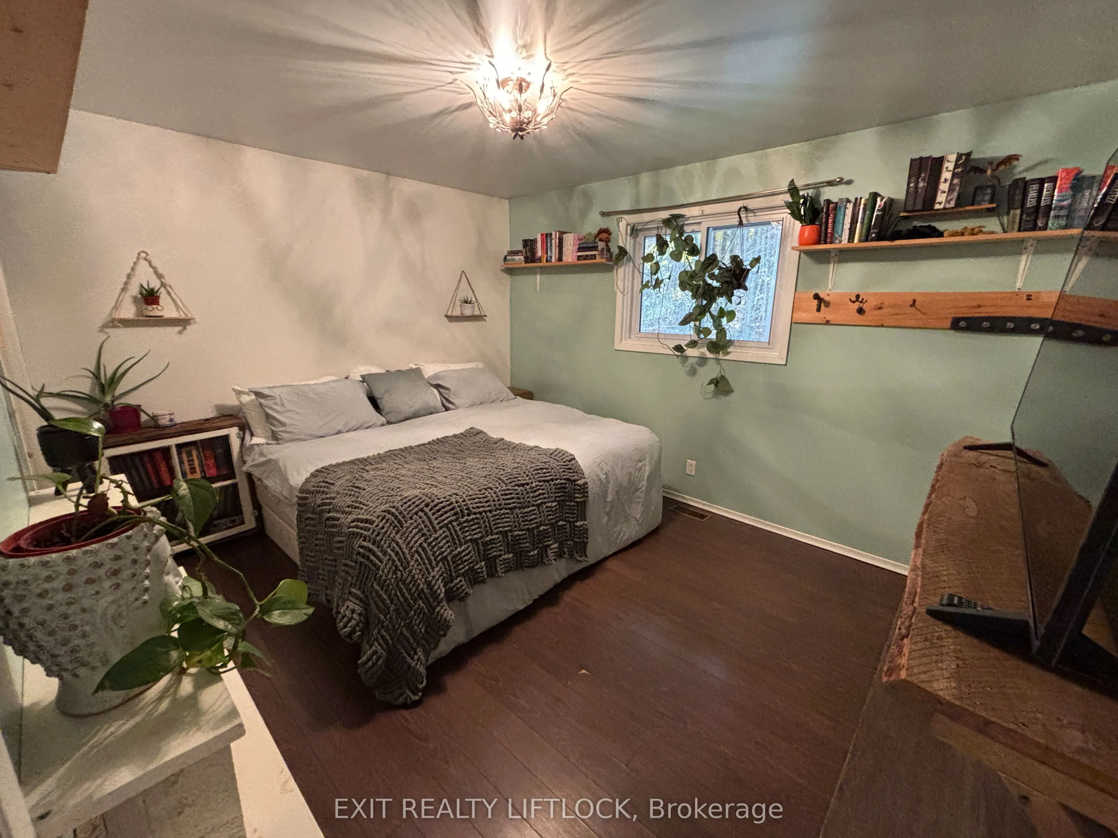 404 Belmont Concession 8