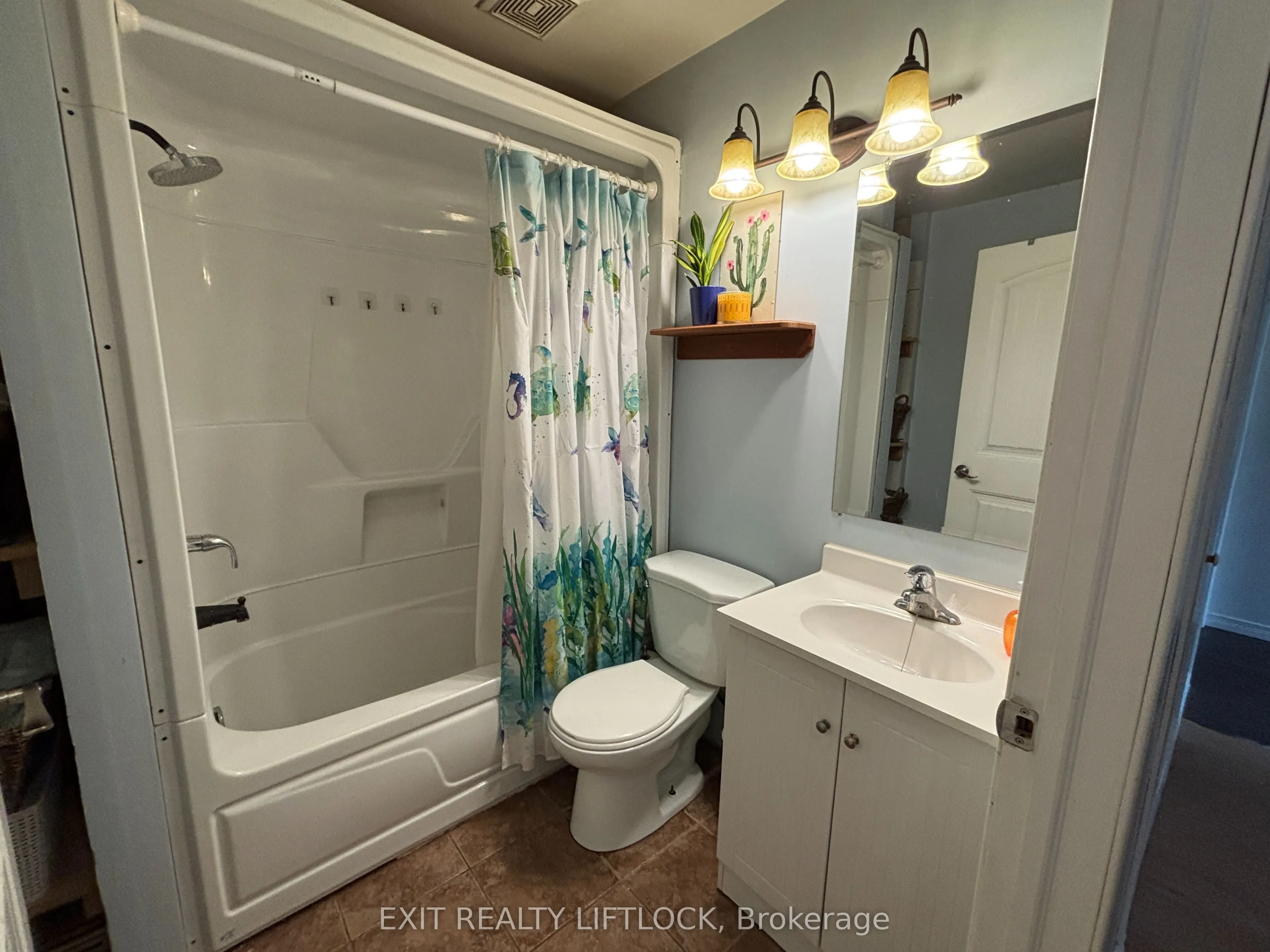 404 Belmont Concession 8