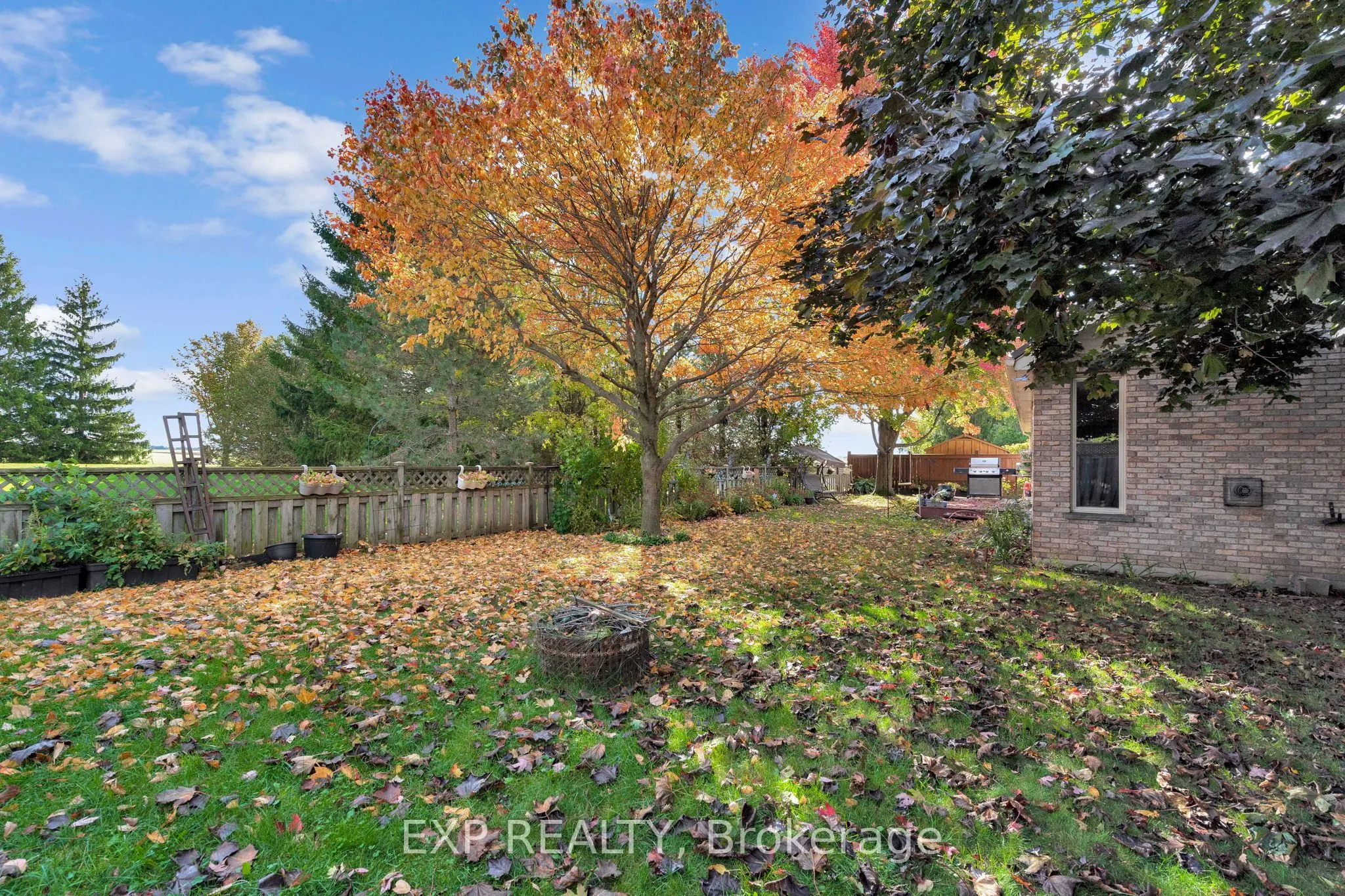17 Abbey Lane